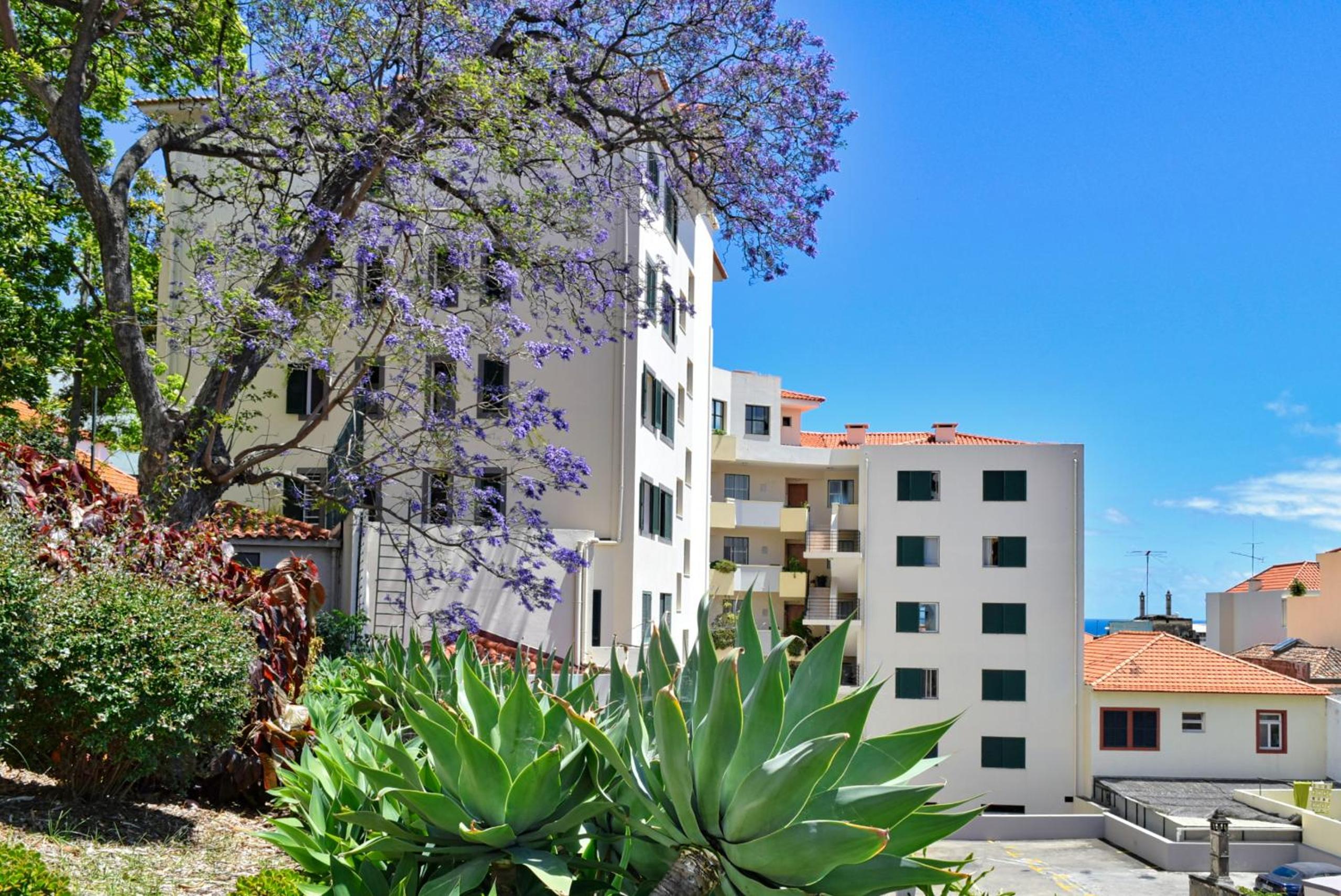 Encarnação Funchal, a Home in Madeira view 5