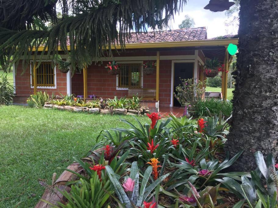 Beautiful Country House located in Llanogrande