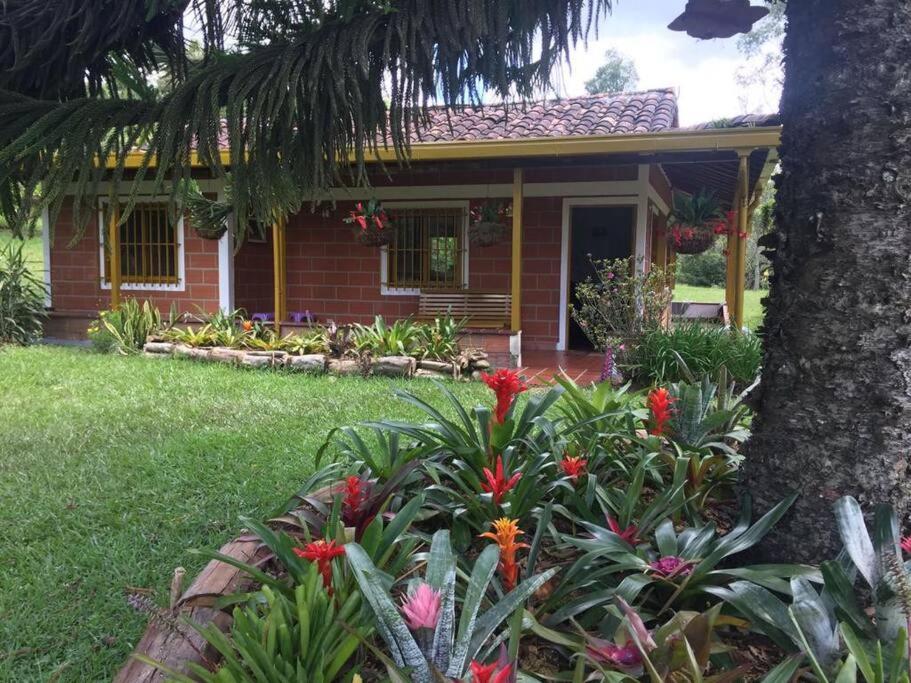 Beautiful Country House located in Llanogrande