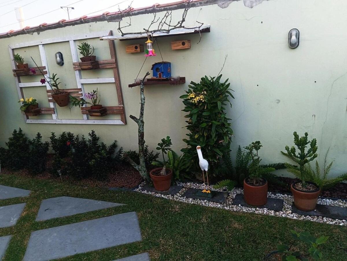 Jardim das orquideas 2