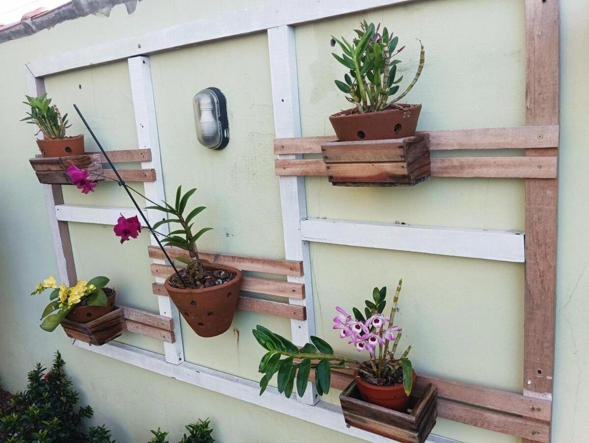 Jardim das orquideas 2