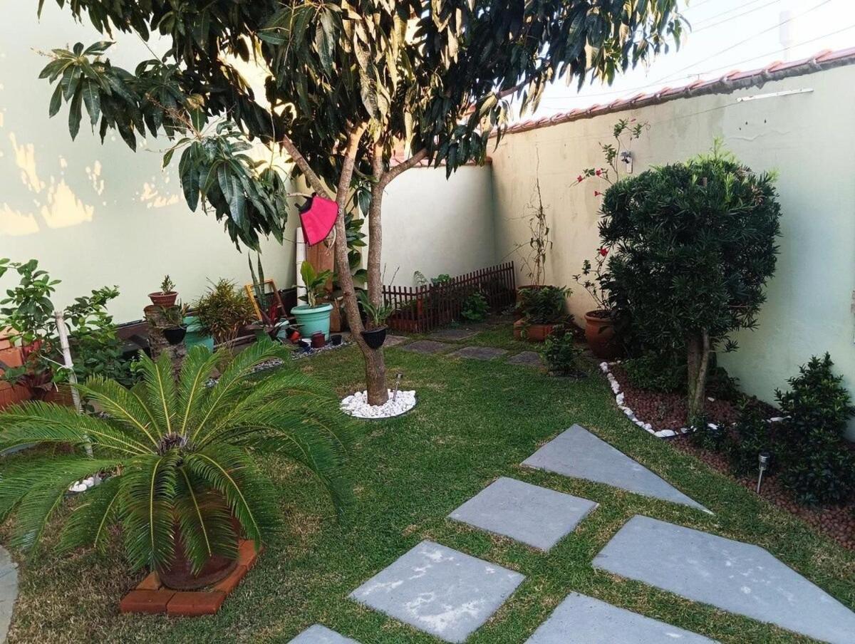 Jardim das orquideas 2