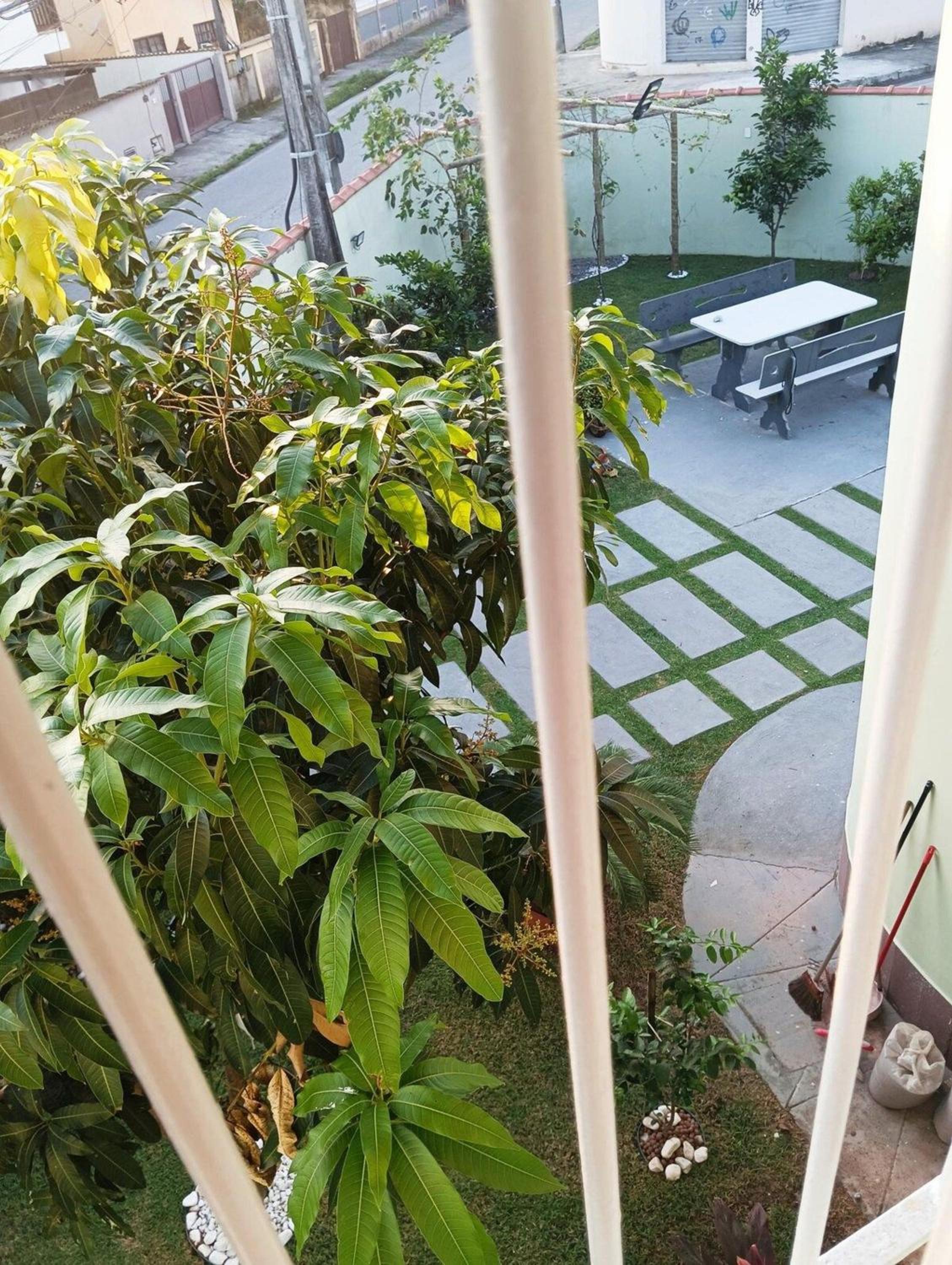 Jardim das orquideas 2