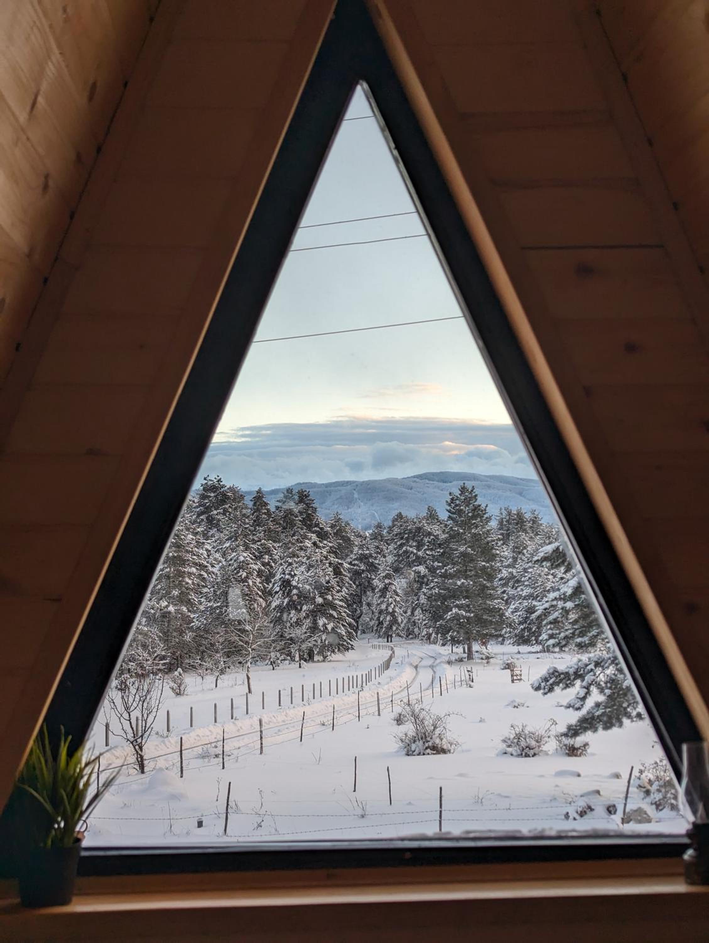 AA Pine vikendica za izdavanje u srcu Zapadne Srbije