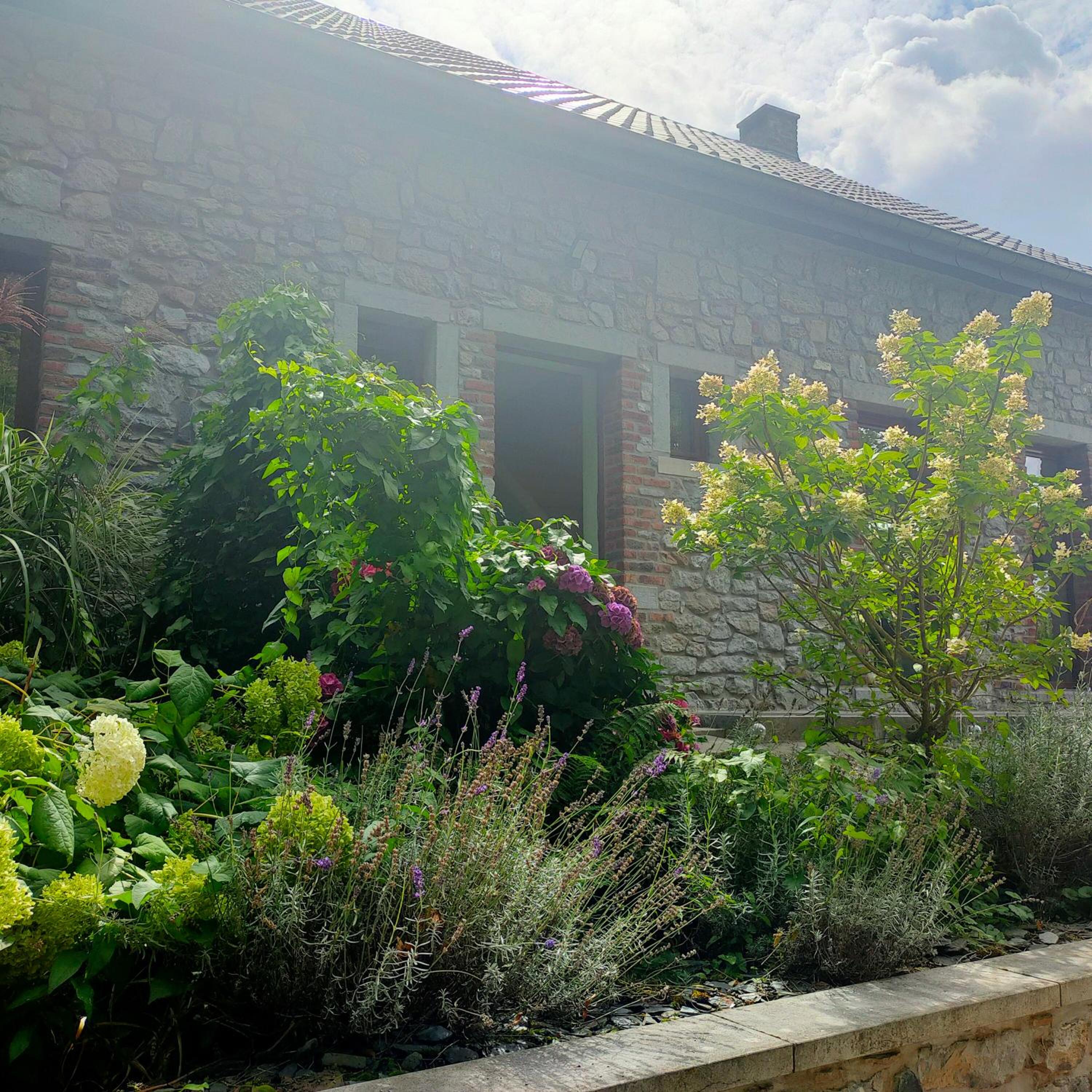 Le val du vieux chêne chambre d'hôtes