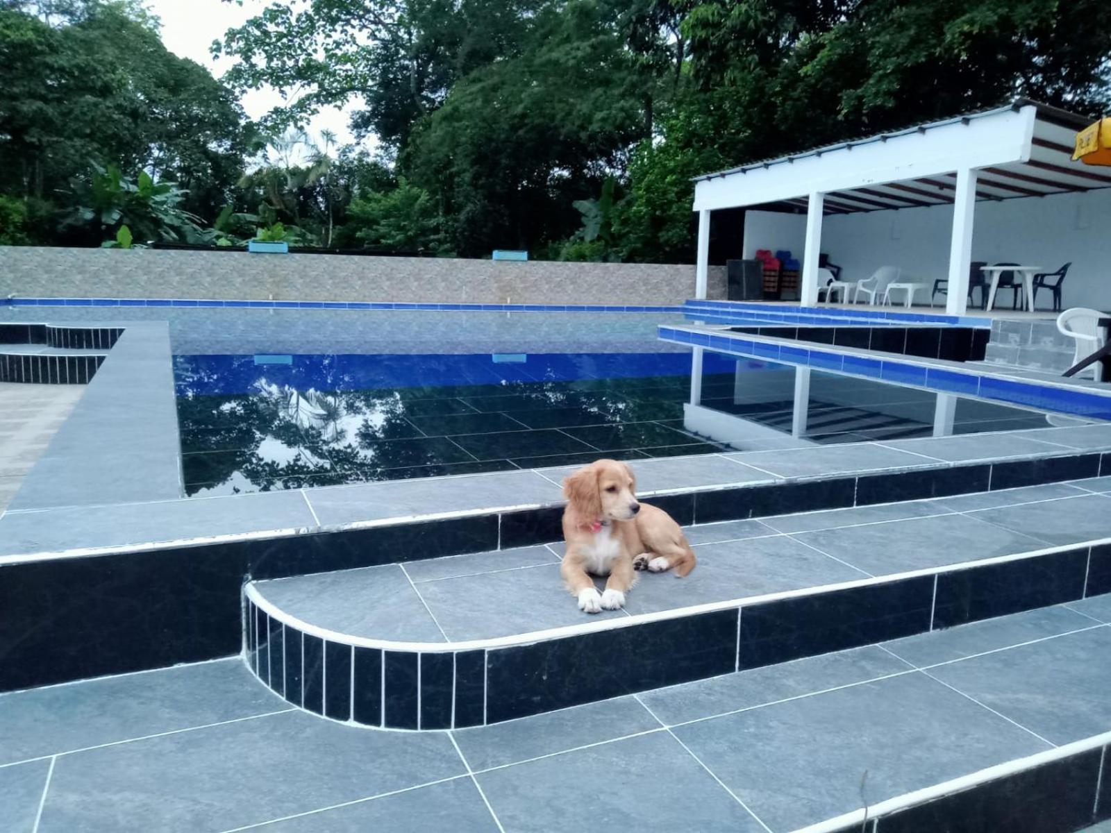 HOSPEDAJE FAMILAR CAMPESTRE