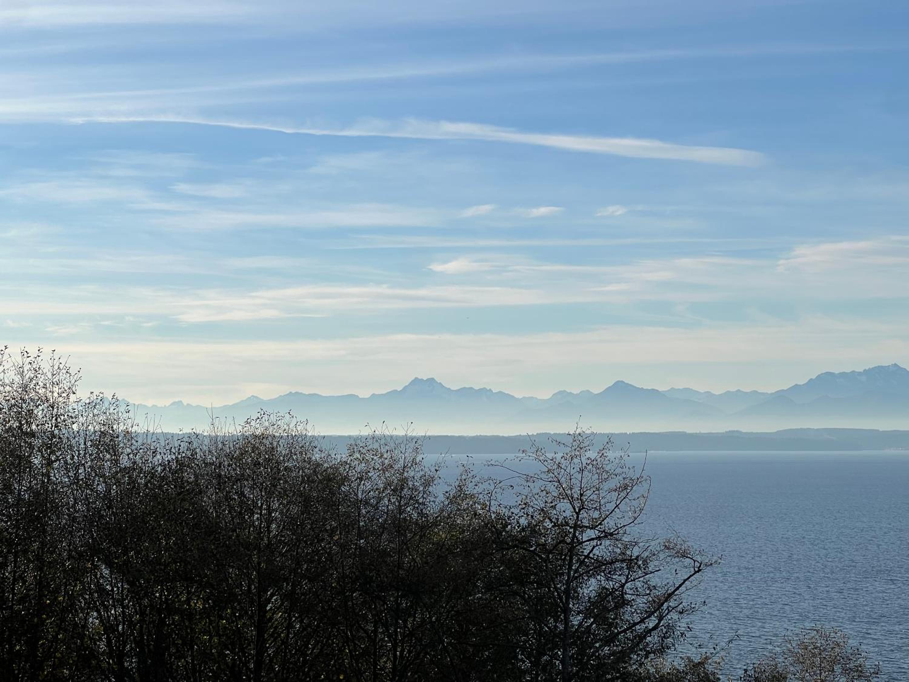 1-Bedroom Seaview Guesthouse on Seattle Luxury Estate with Views of Olympic Mountains