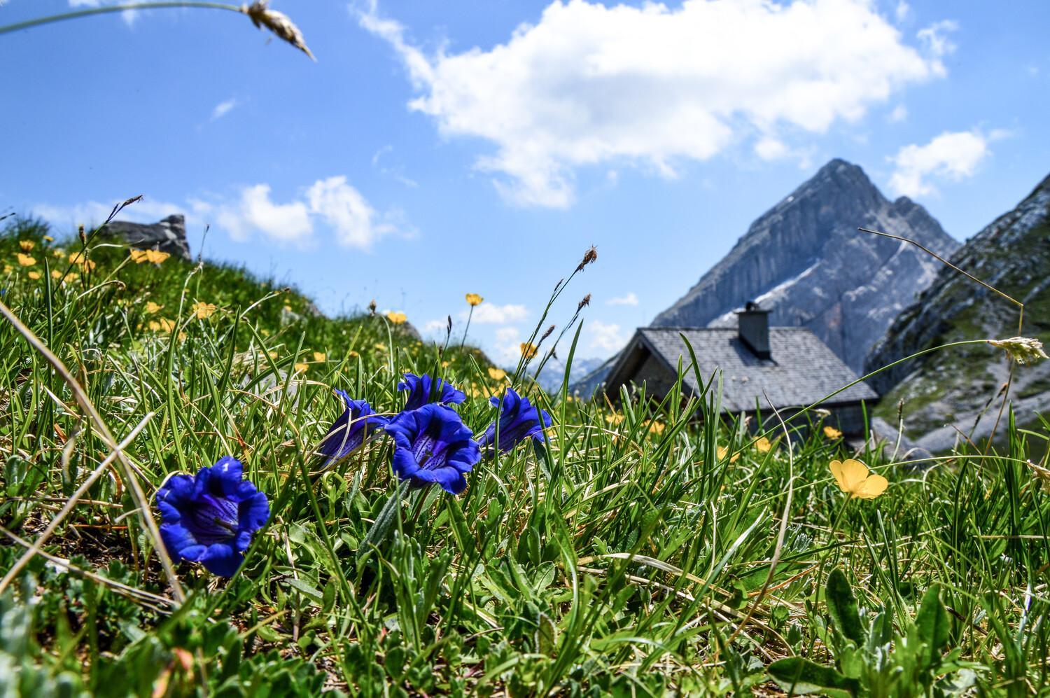 Haus Sonnenschein Ferienwohnung Hochkalter