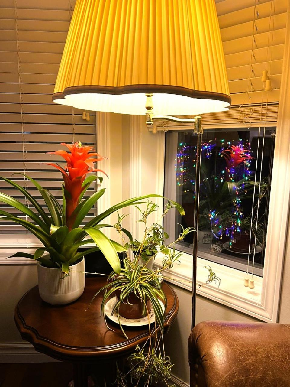 Lovely comfy home private bath in central Calgary