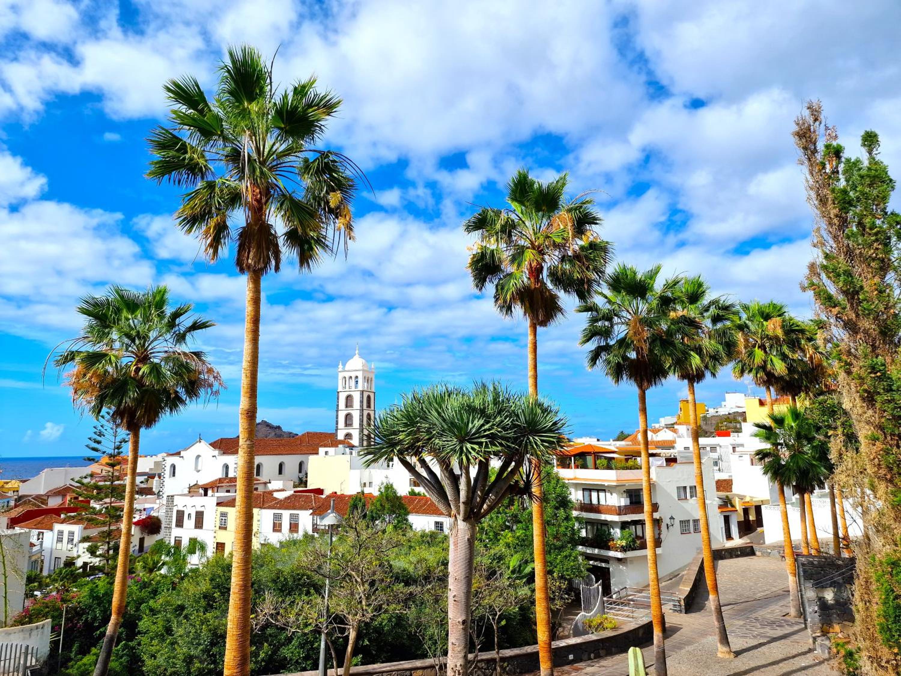 Relax Beachfront Vistas al Mar Studio in Tenerife
