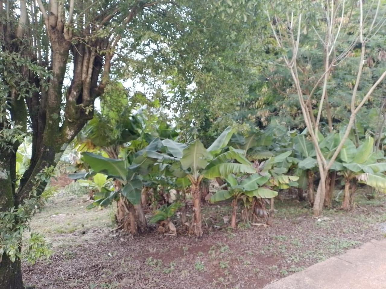 Cabañas Misioneras