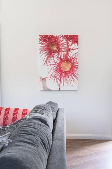 Flowering Gum House - Furry Friends Welcome