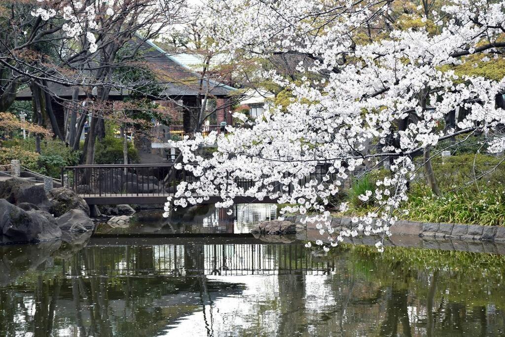 Best Value Stay, Immerse in Local Culture, Prime Location & Fast WiFi