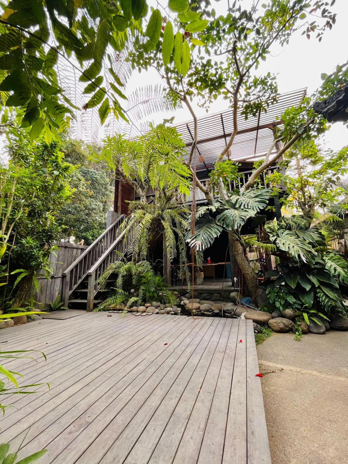 RUMAH JEDDA view 5