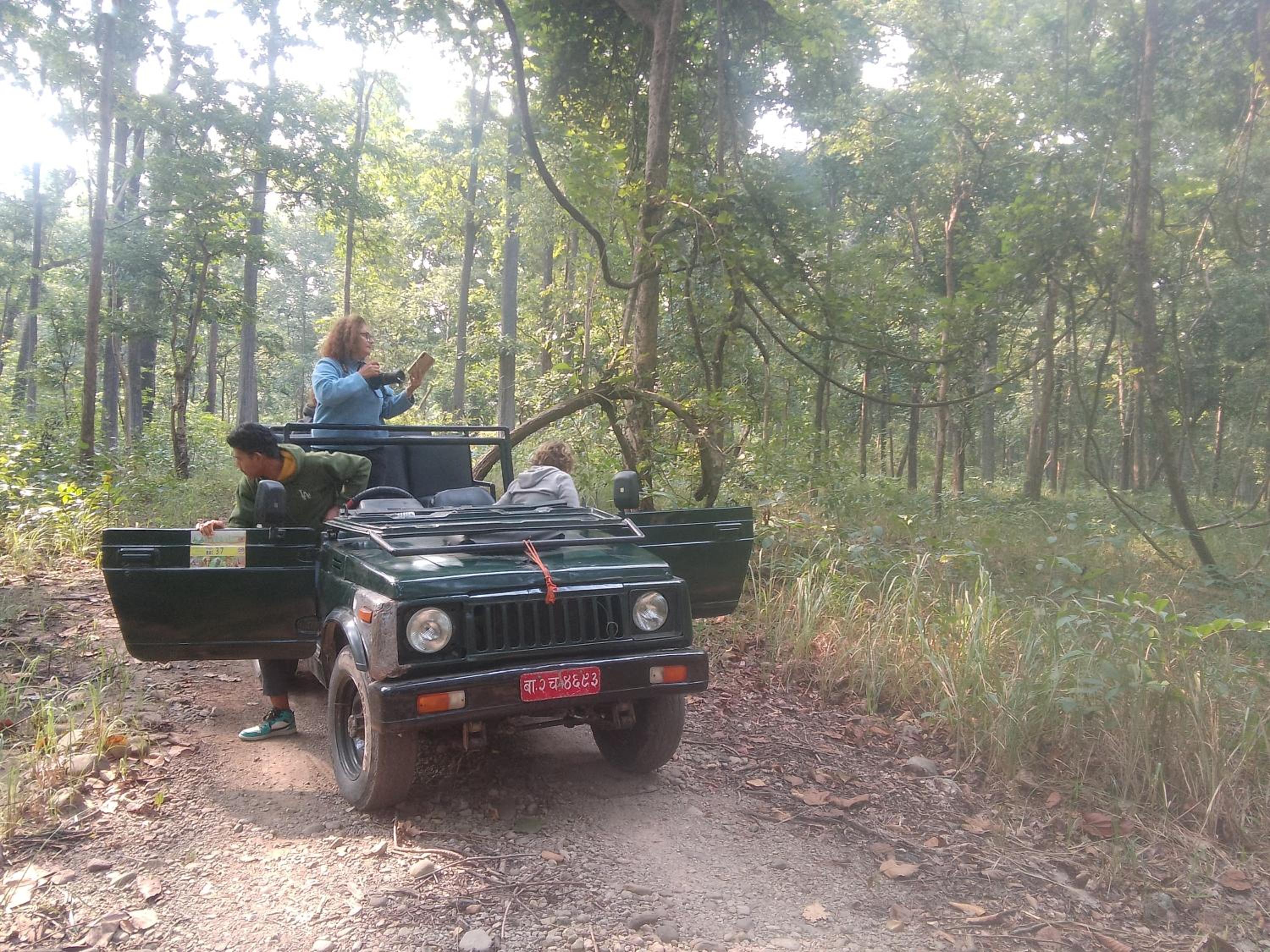 Jungle Base Camp view 2