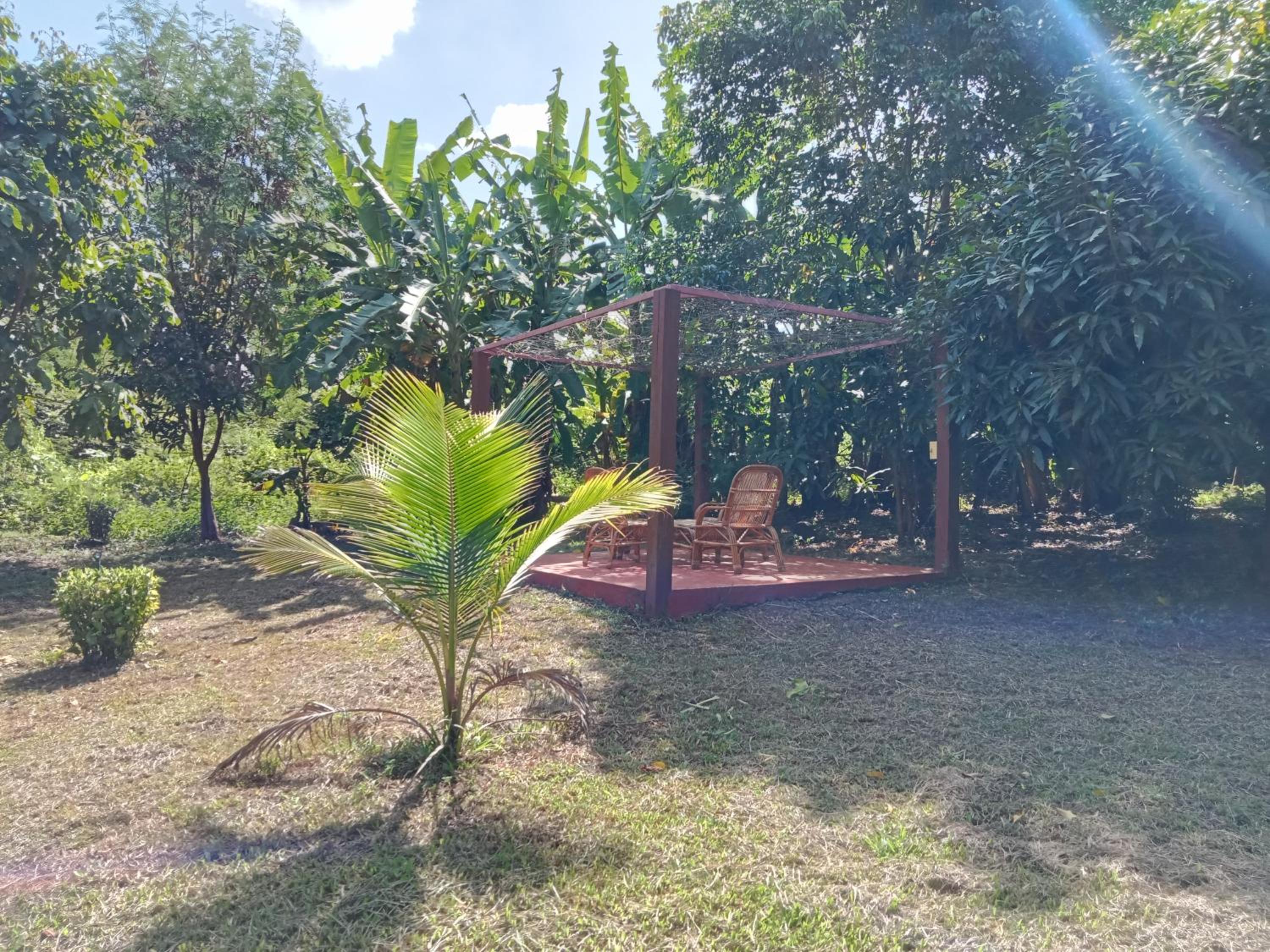 Photo 18