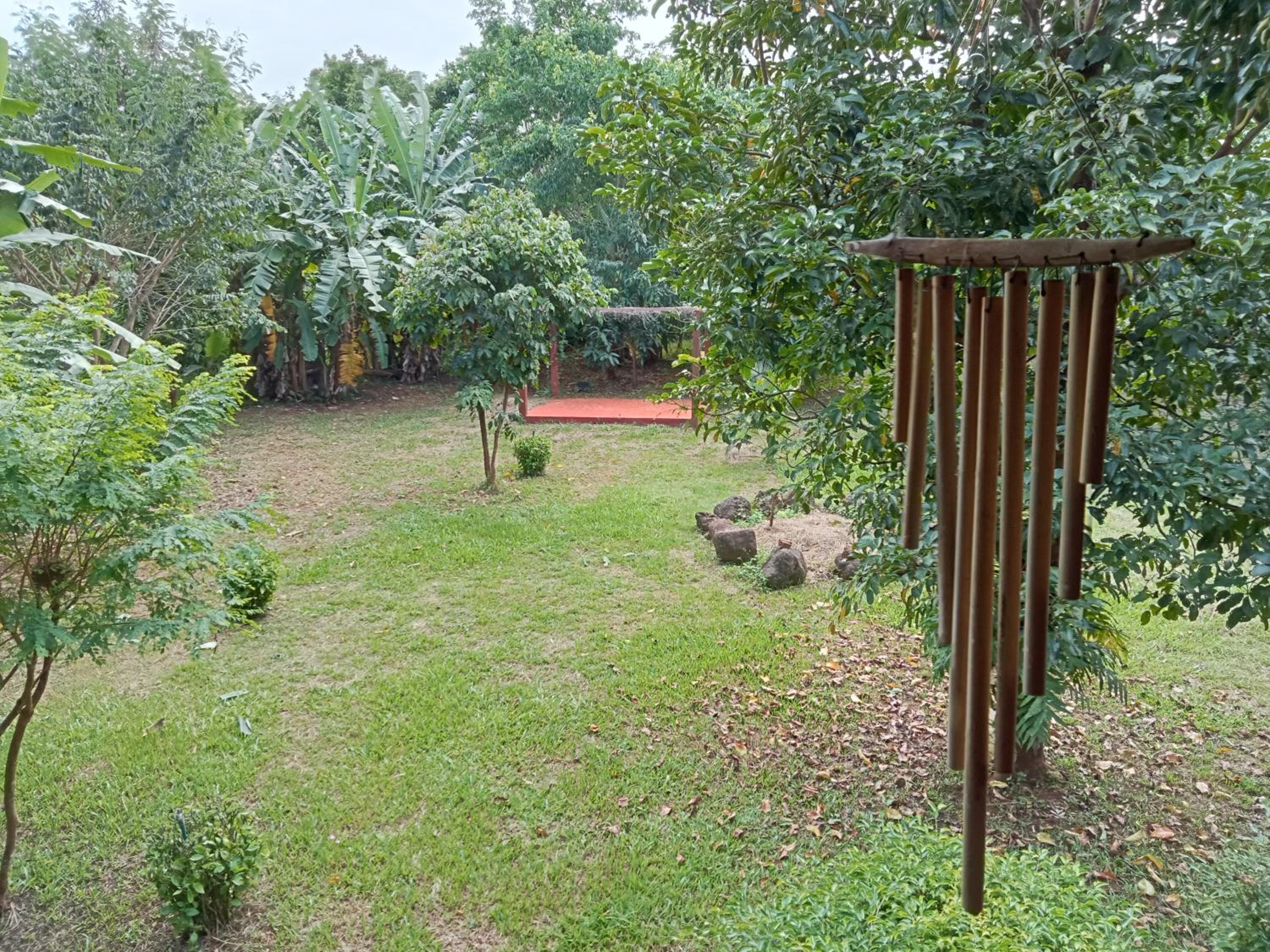 Photo 19