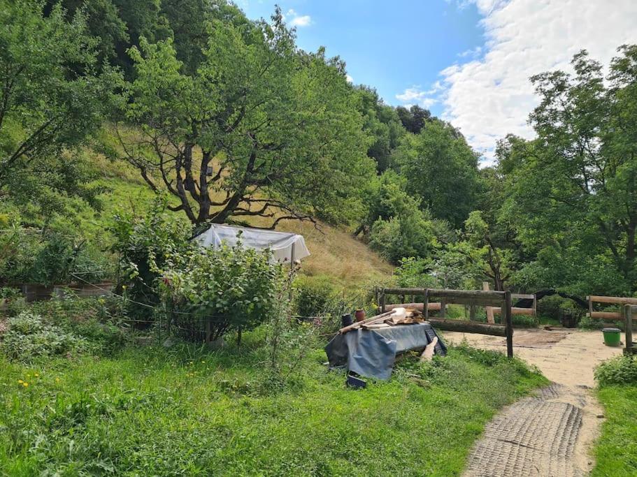 Naturoase Säntisblick-Auszeit am Wald und Bach