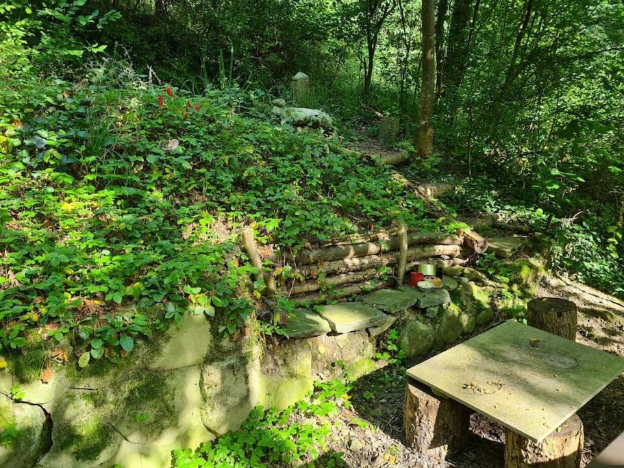 Naturoase Säntisblick-Auszeit am Wald und Bach