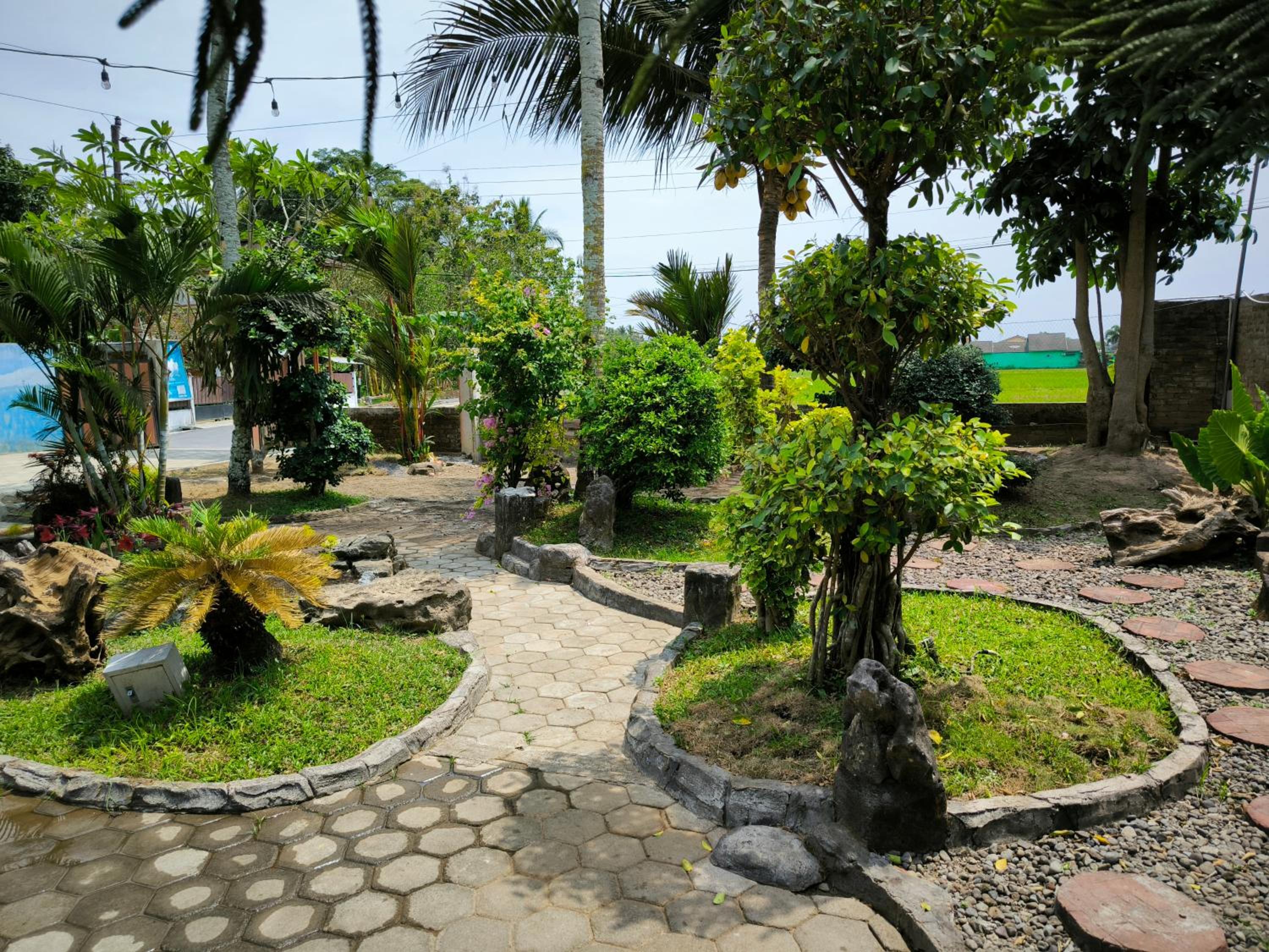 Photo 11