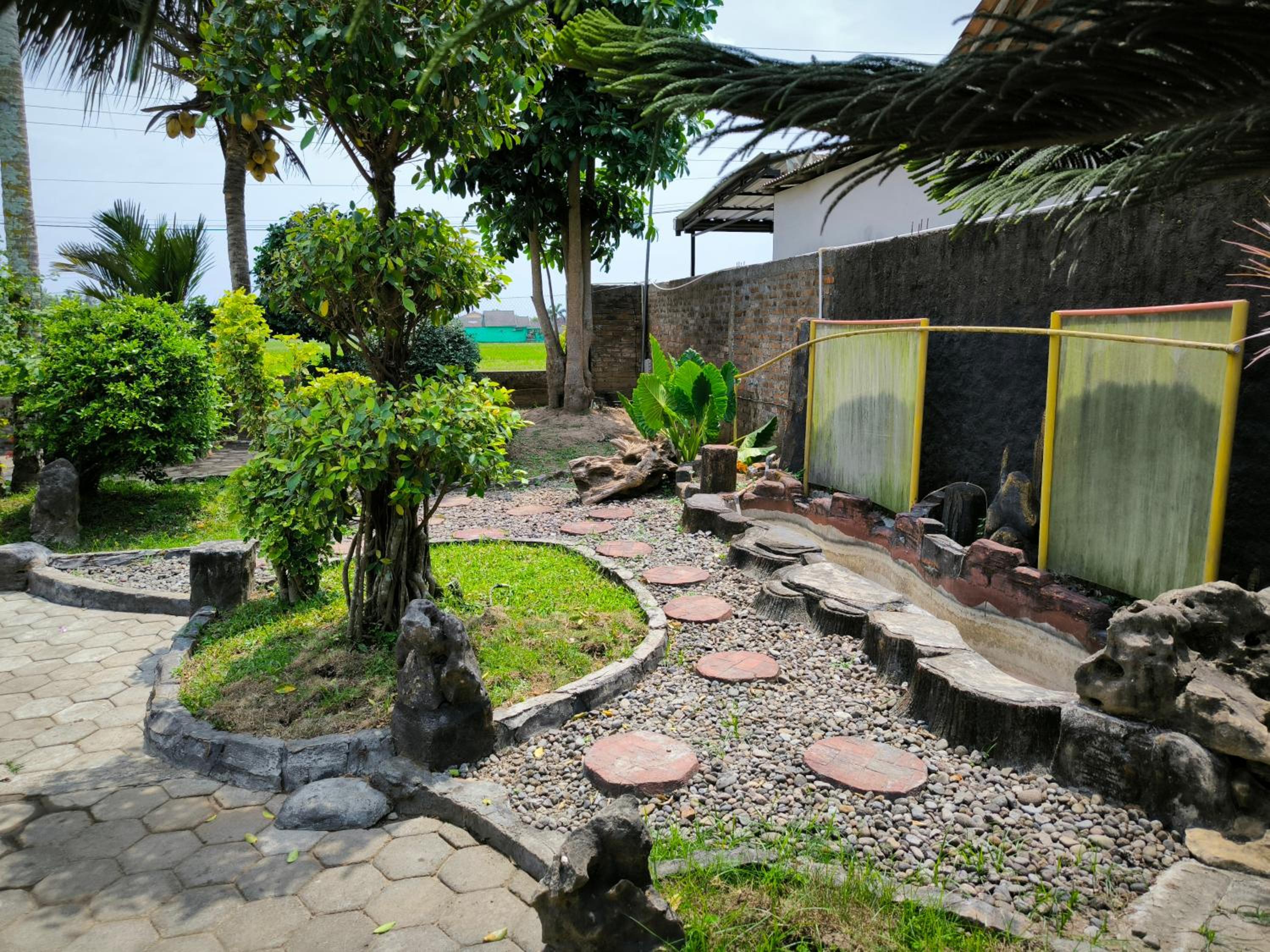 Photo 12
