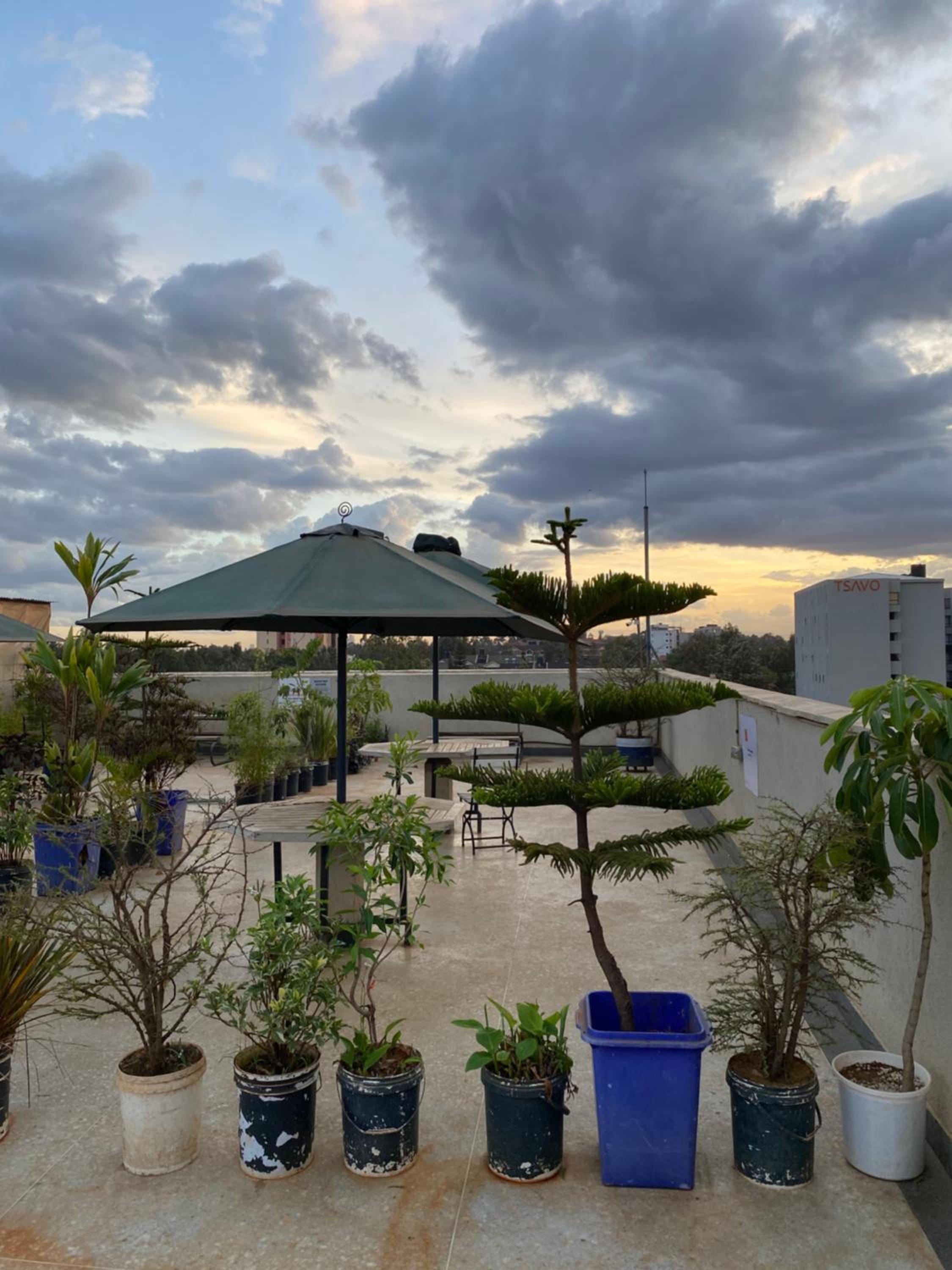 roof