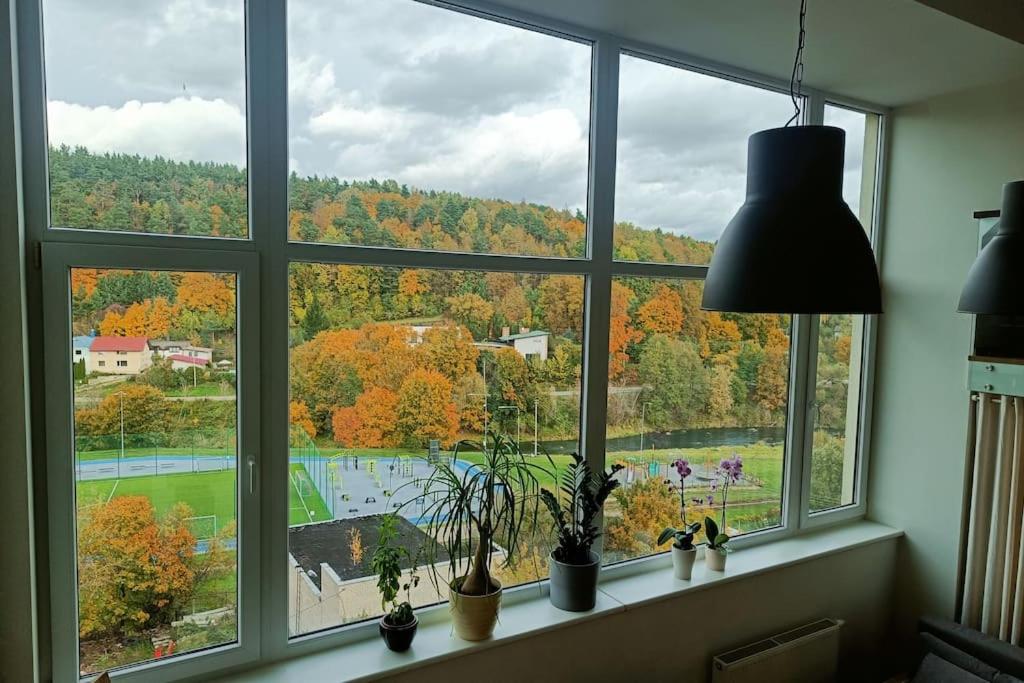 River Vilnele View Studio view 3