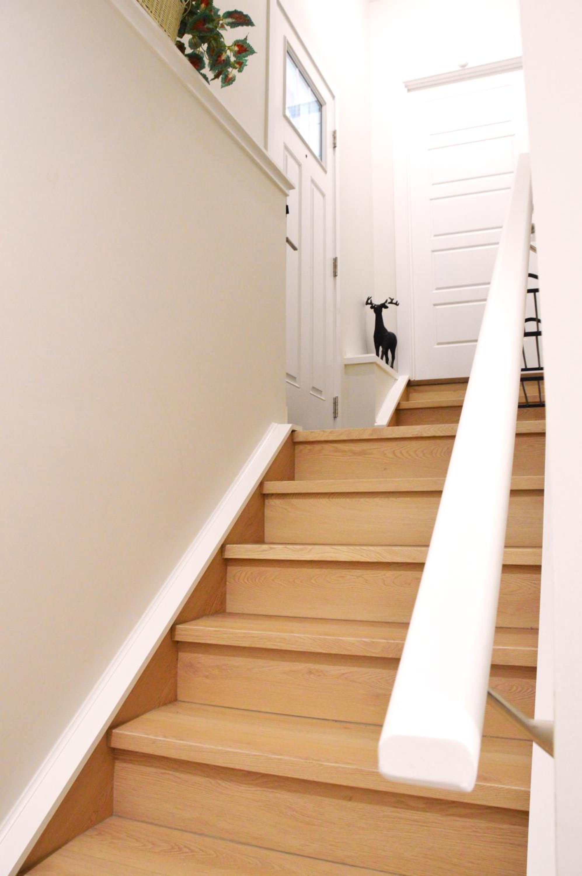 Secondary Suite, Separate Entrance NW Calgary