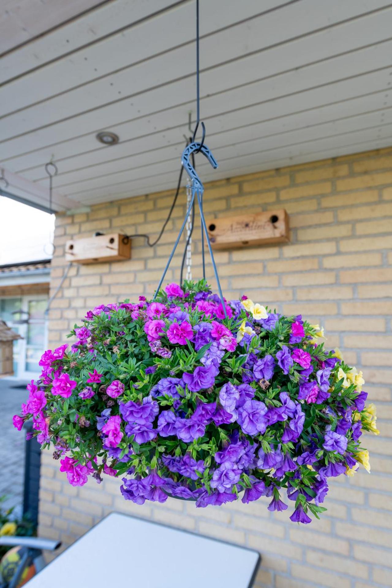 Bed & Breakfast Horsens - Udsigten