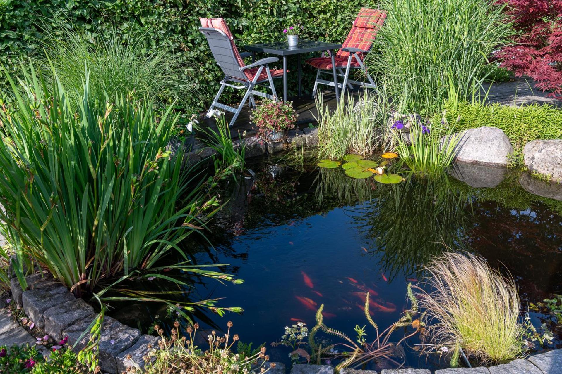 Bed & Breakfast Horsens - Udsigten