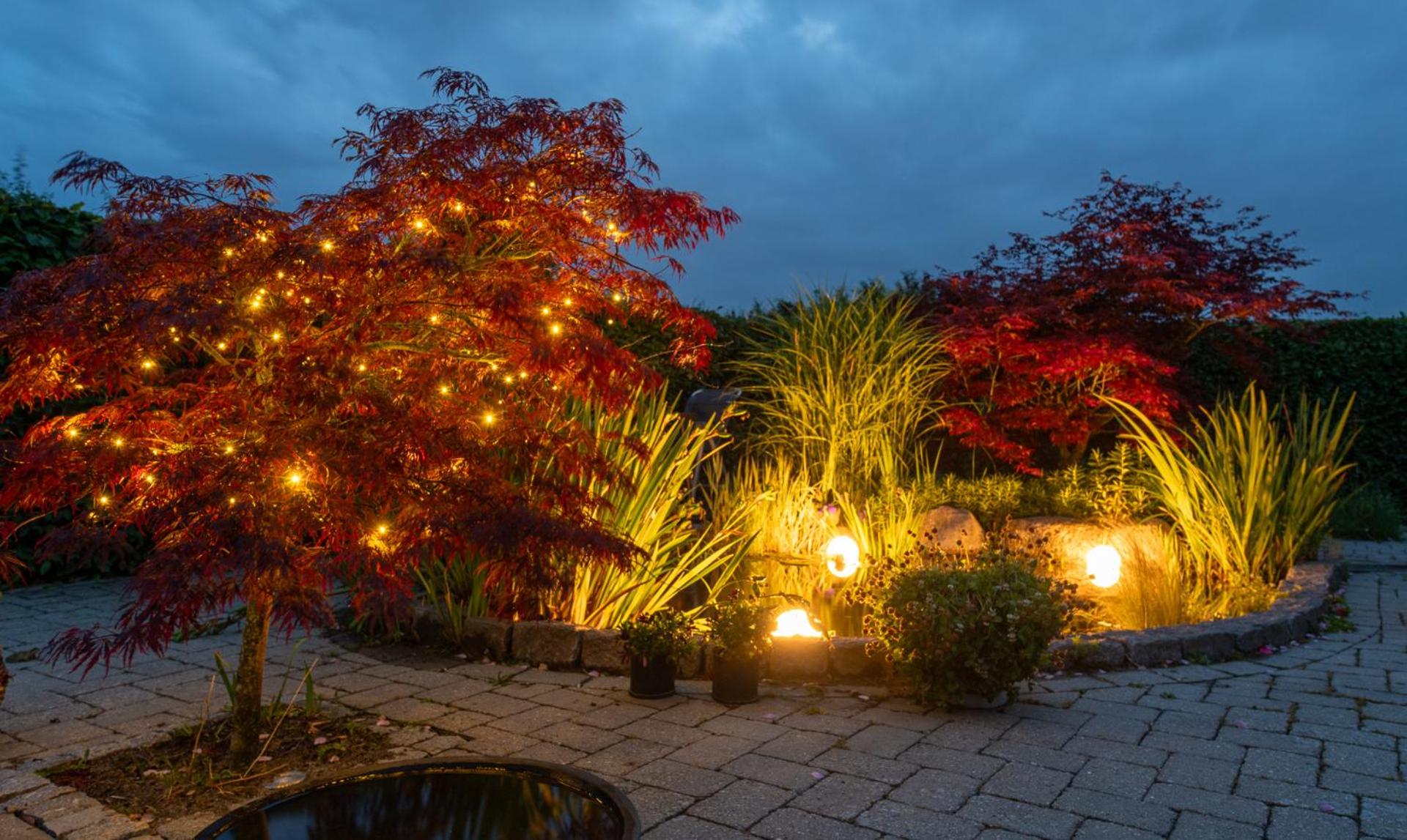 Bed & Breakfast Horsens - Udsigten