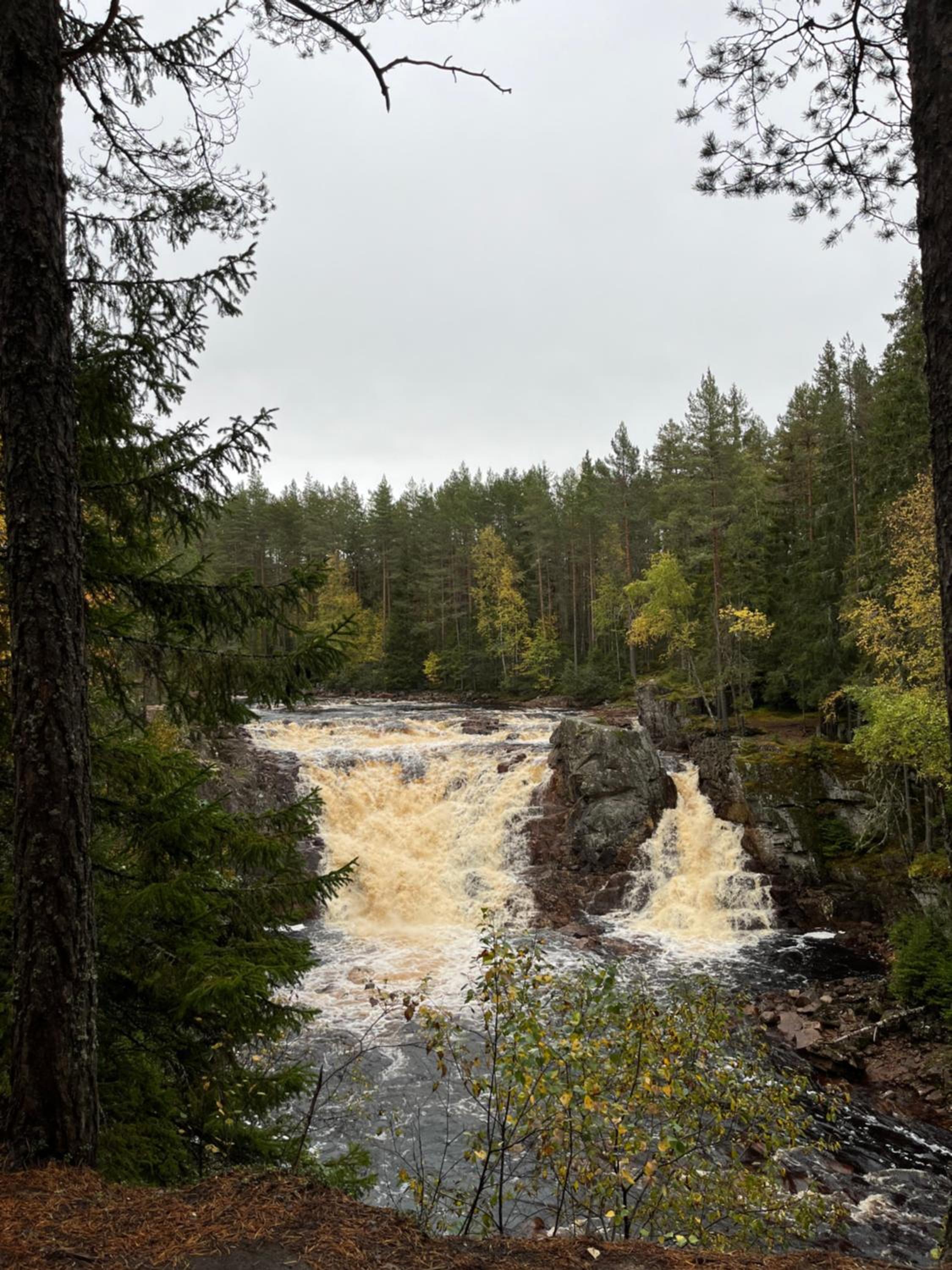 Stuga Näsberget
