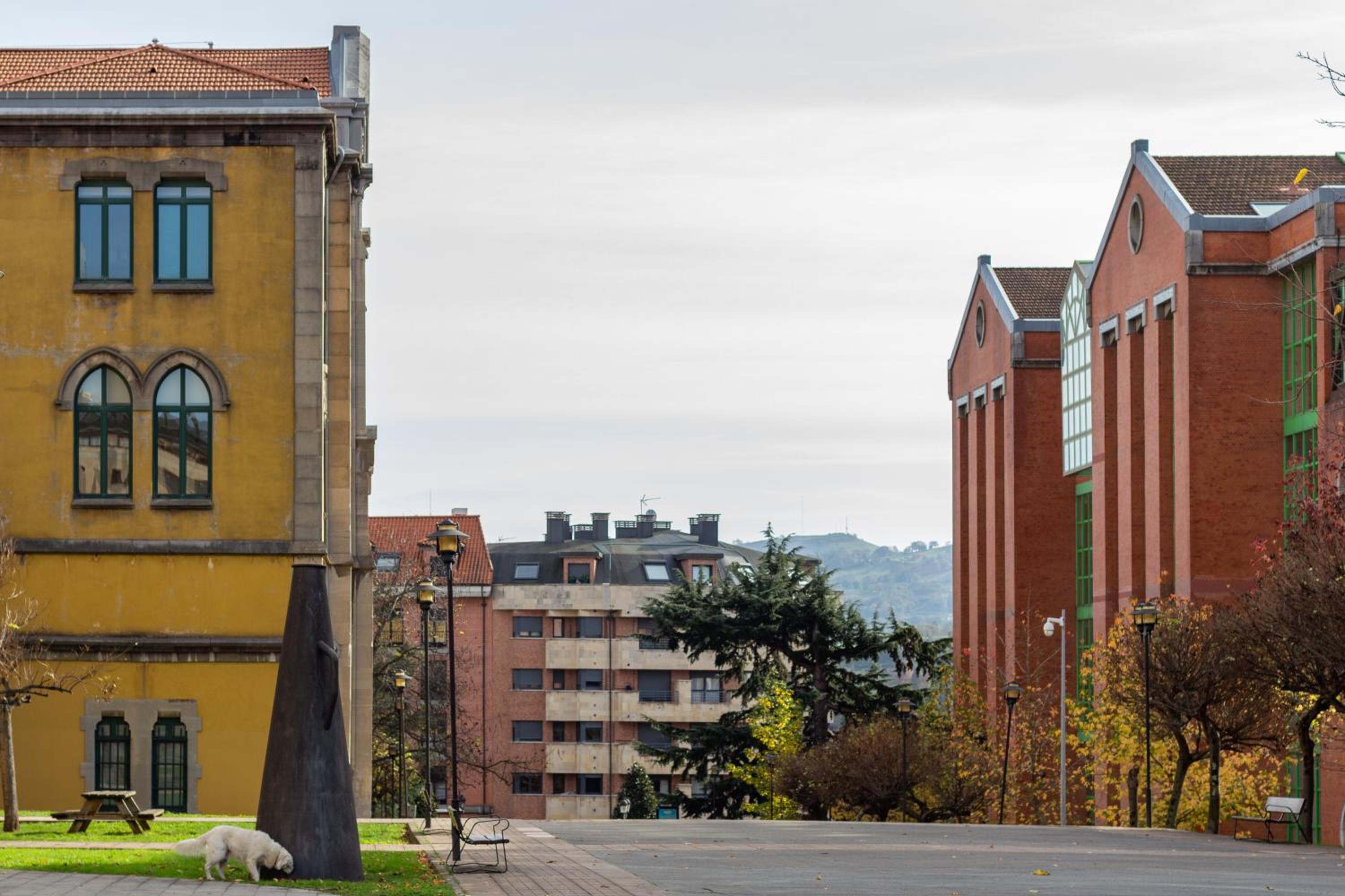 AH Delux3Rooms Campus Milán VUT6519AS