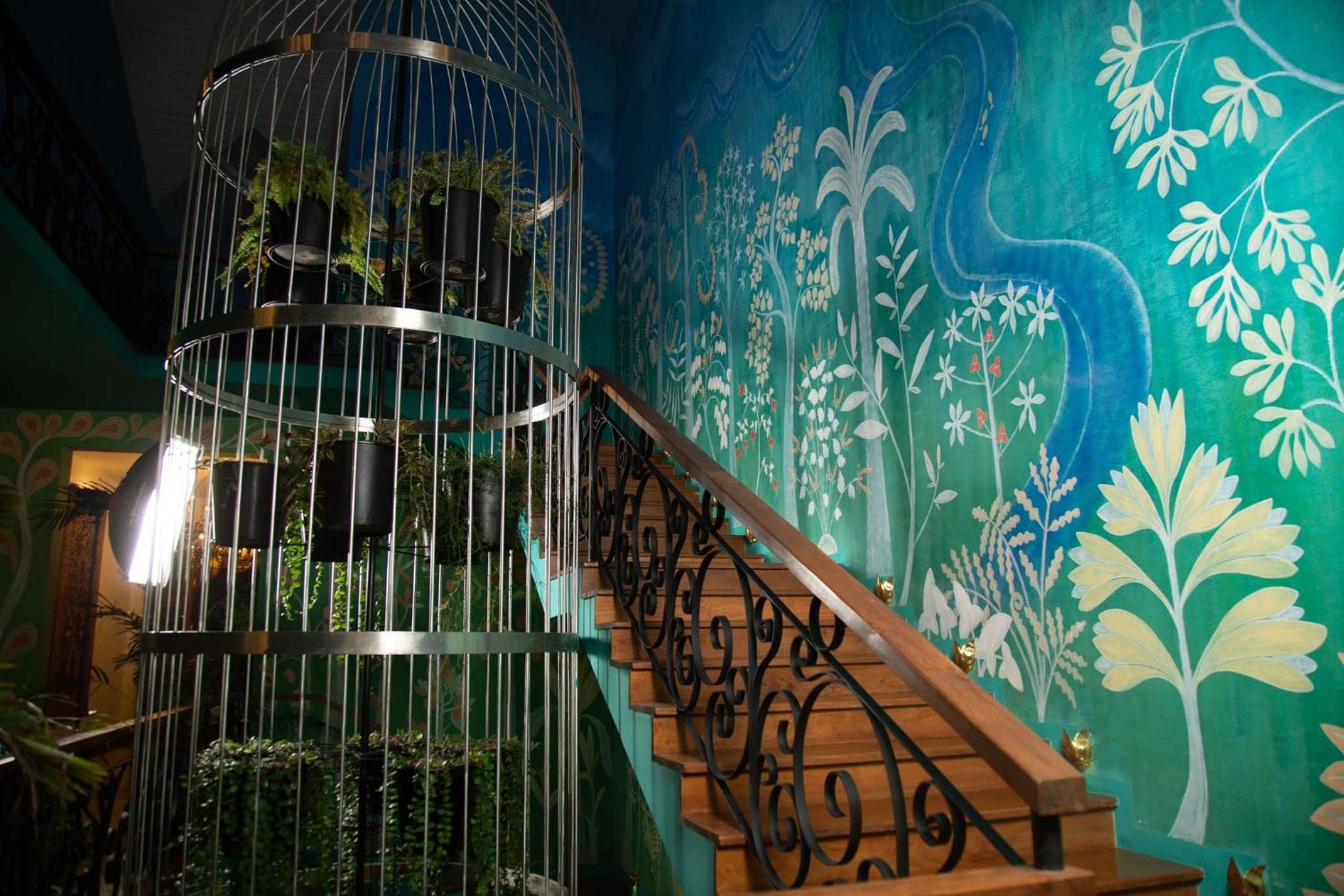 Dendrobium House 31