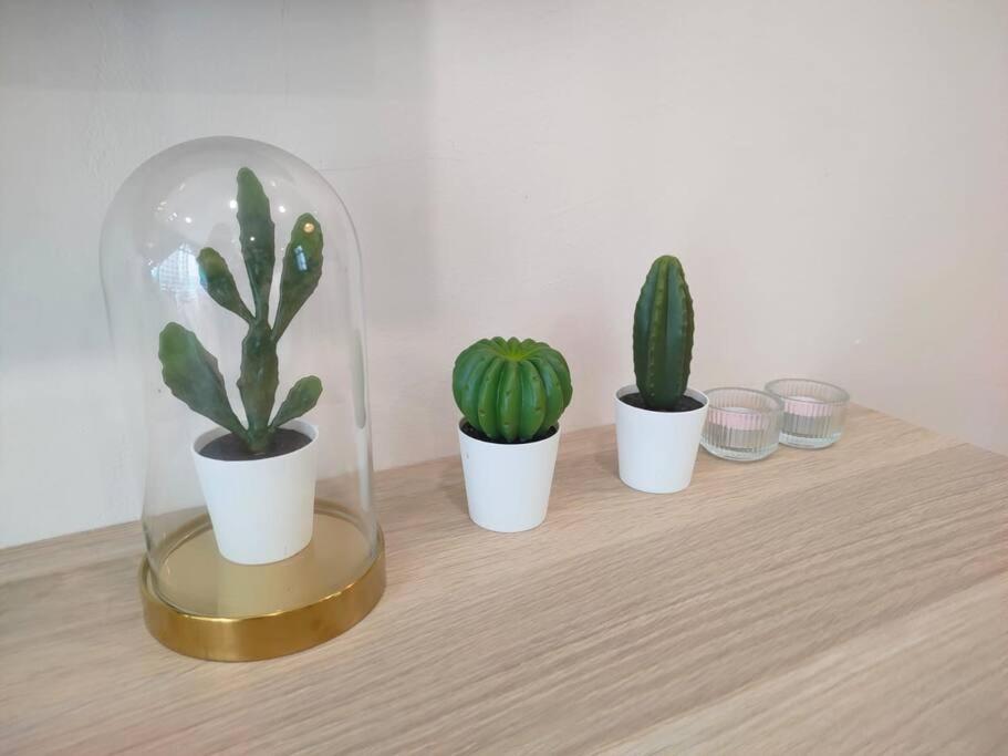 Mount Austin Palazio Studio 2B 1-4pax/Ikea/Toppen