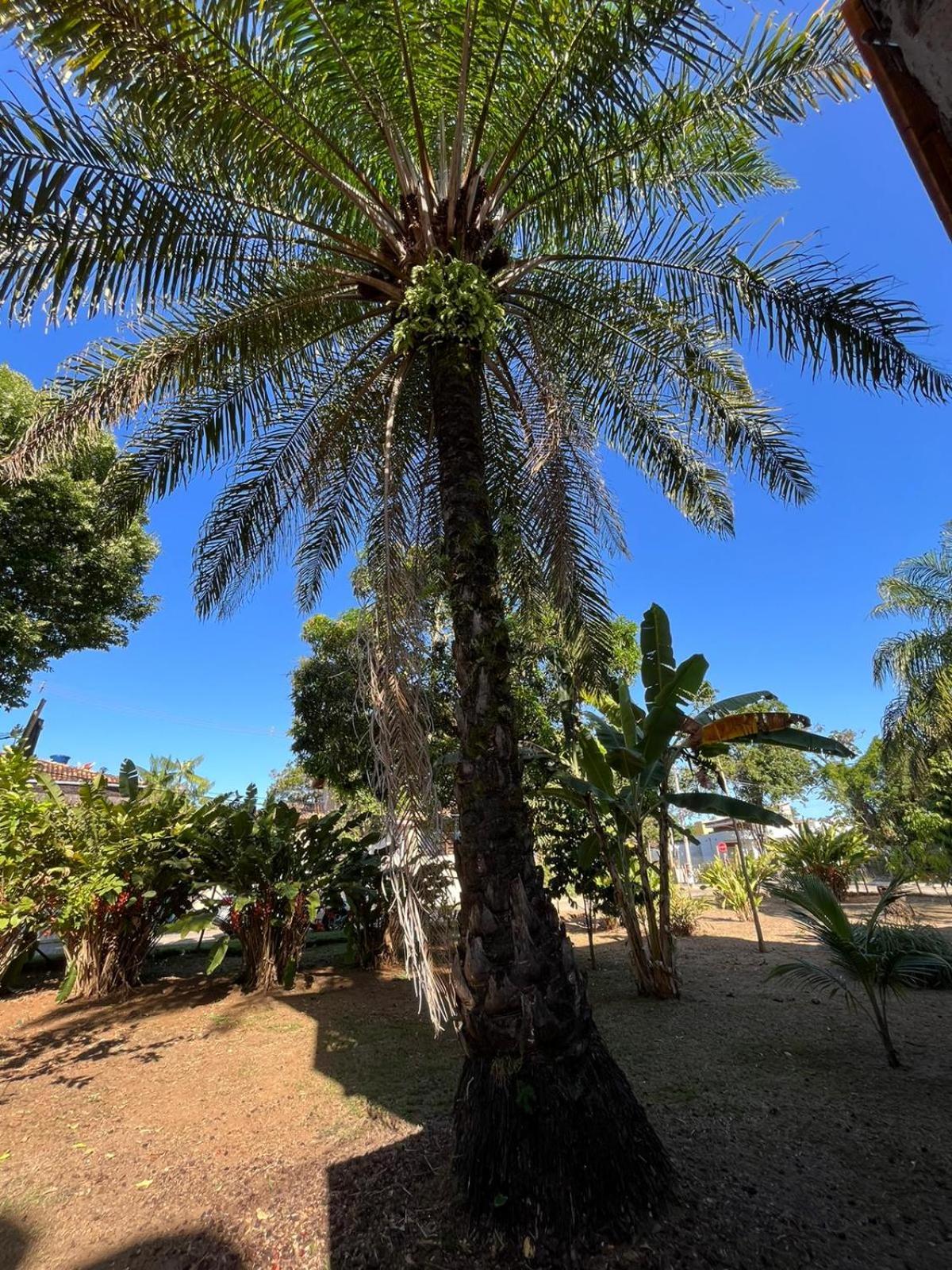 Residência Thomas