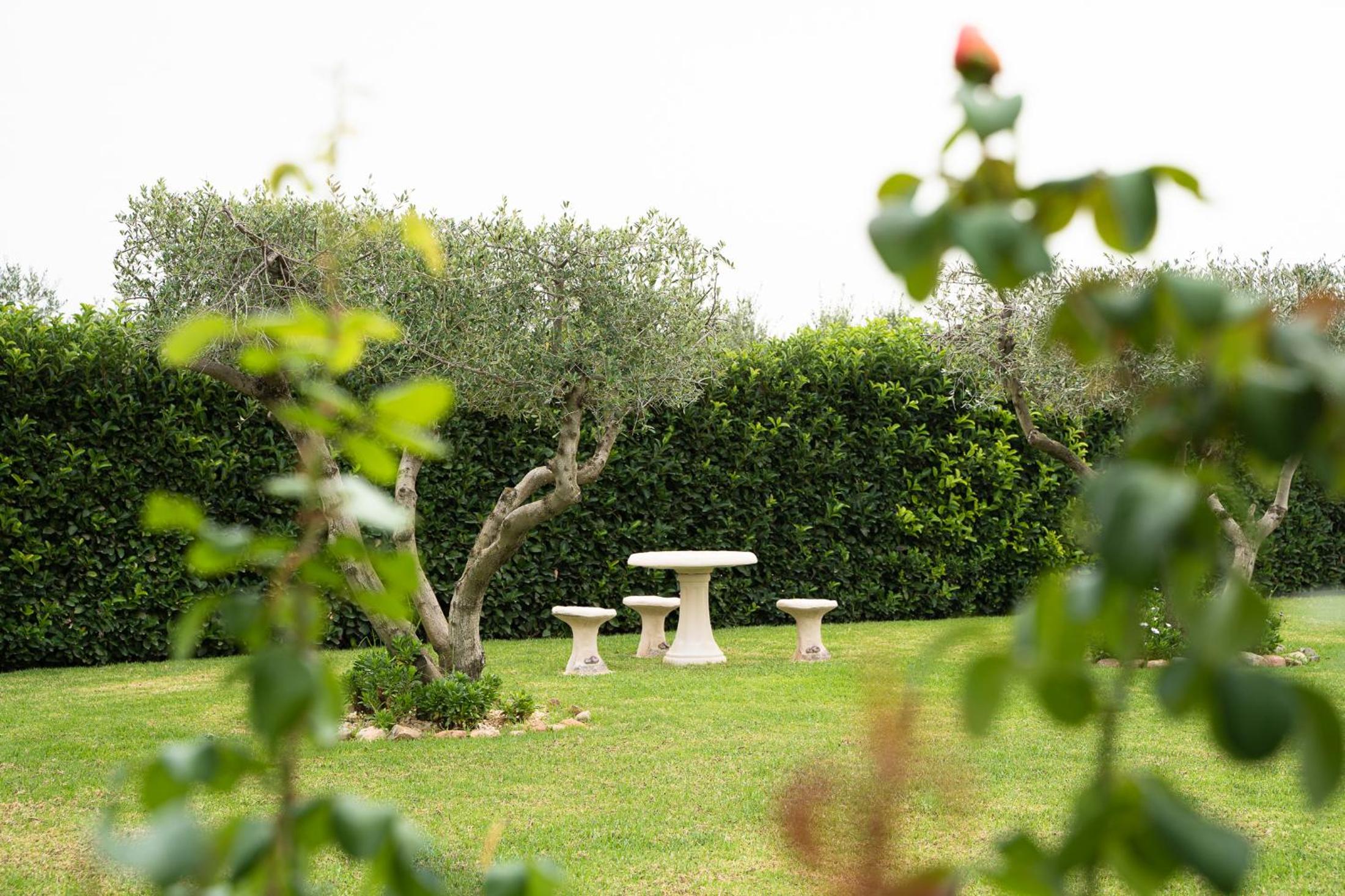 Mas Montbrio Belvedere