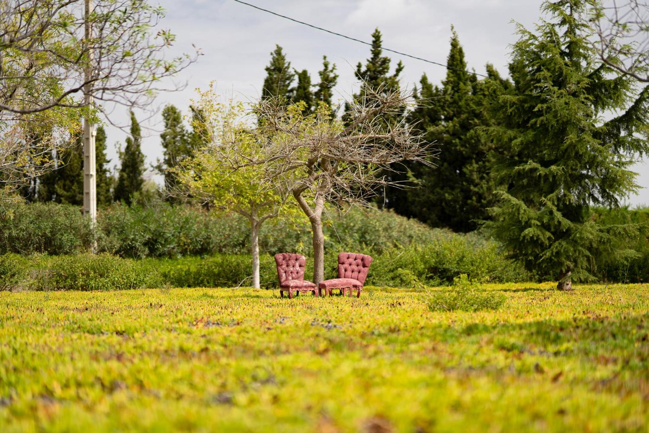 Mas Montbrio Belvedere