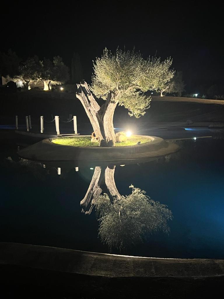 Agriturismo Cerrosughero