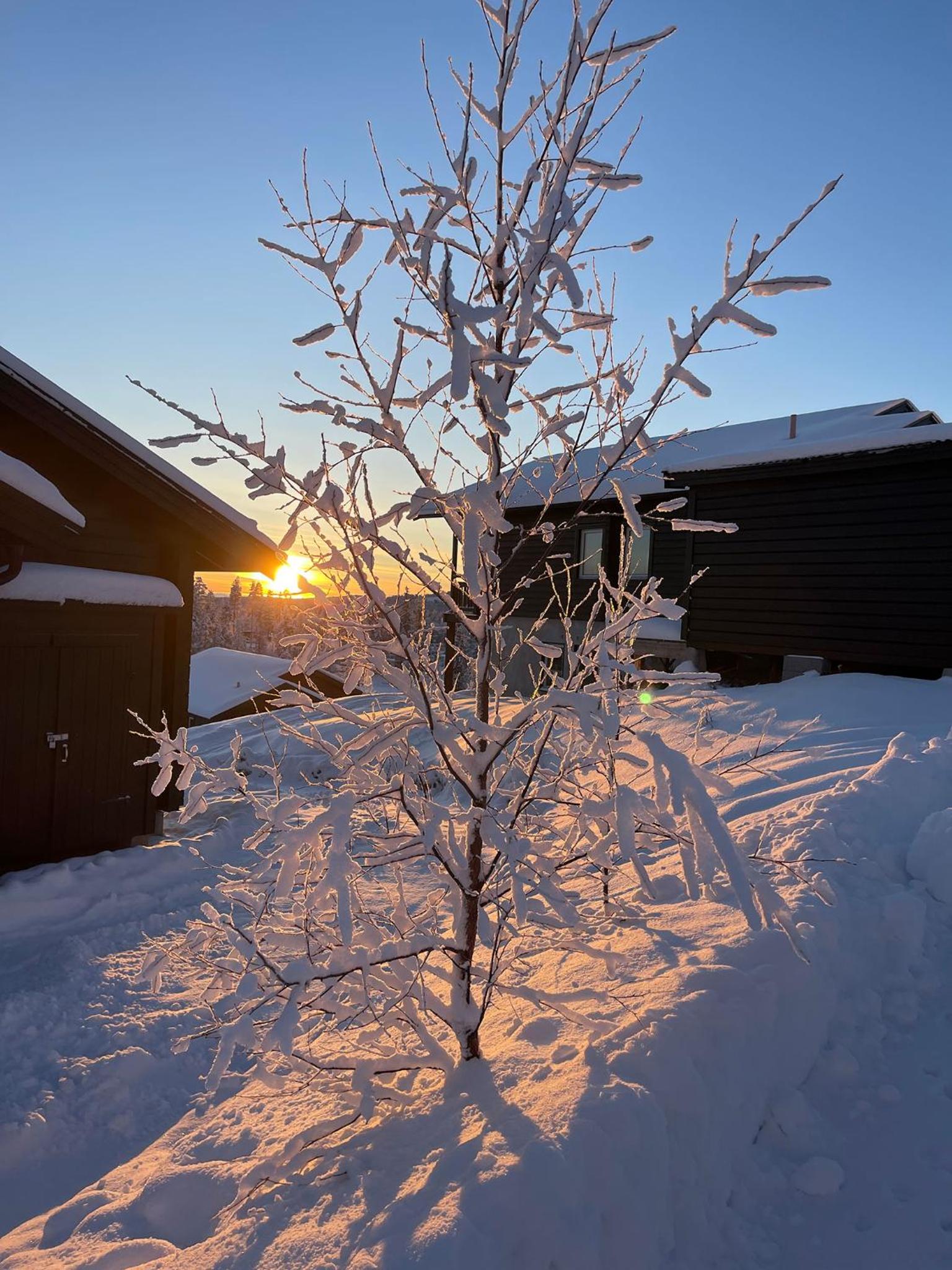 Kåbdalis ski in- ski out Blåfjell Stugby view 2