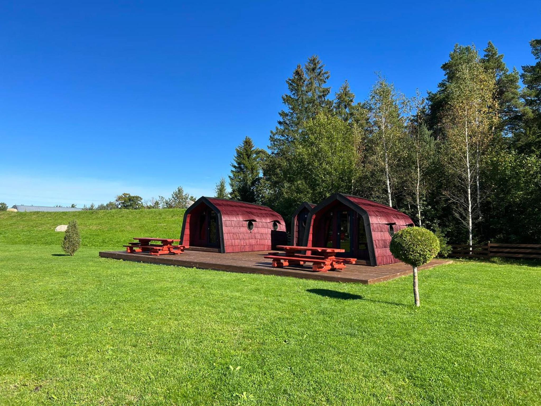 Saare Paadiküla