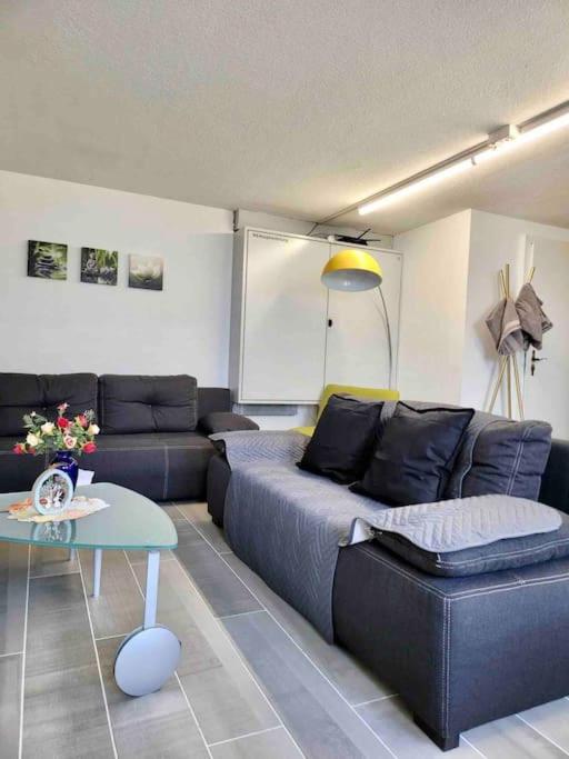Lakeview Basement Apartment near Interlaken