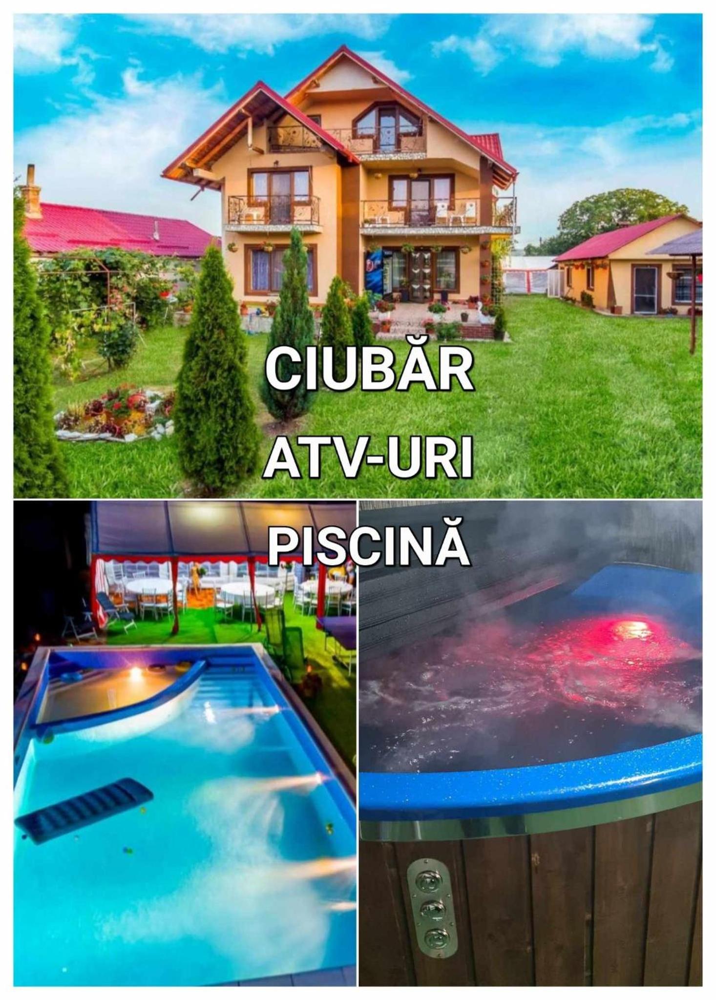 Pensiunea Mariana view 2