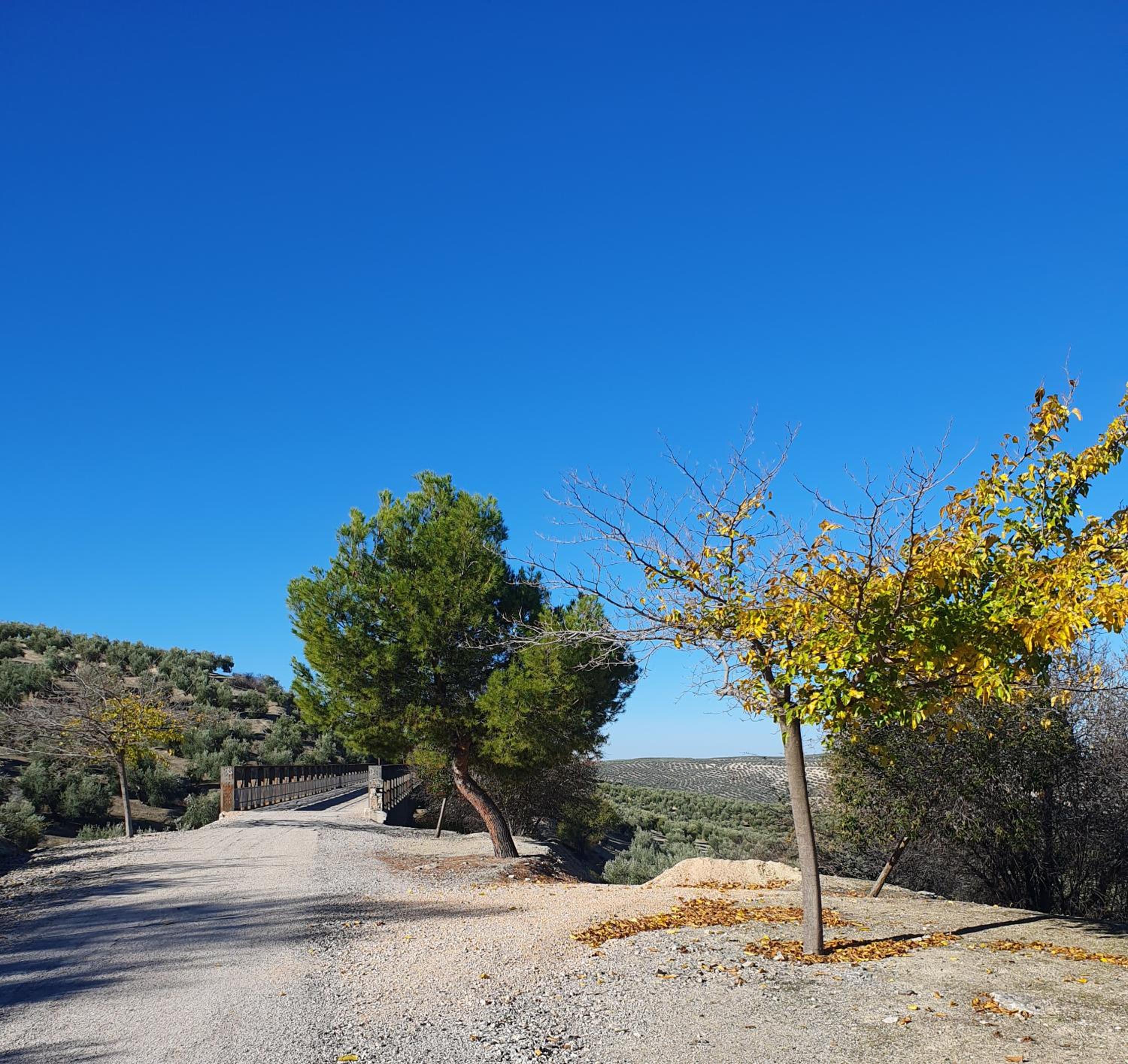 Alojamiento Rural Las Viñas
