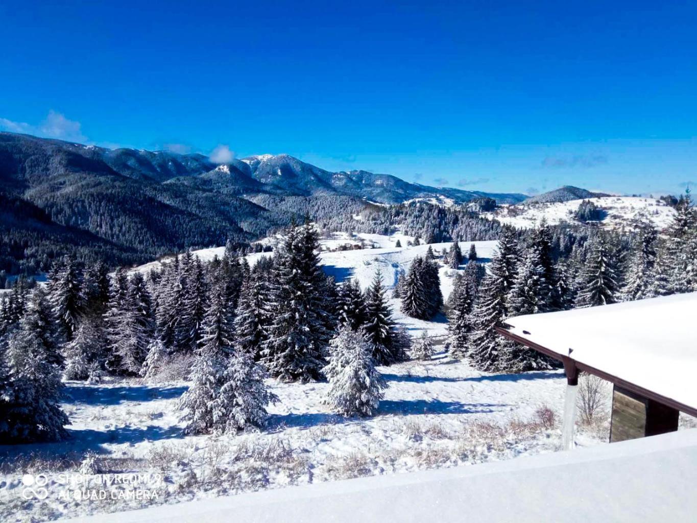 Panorama View-Stoykite