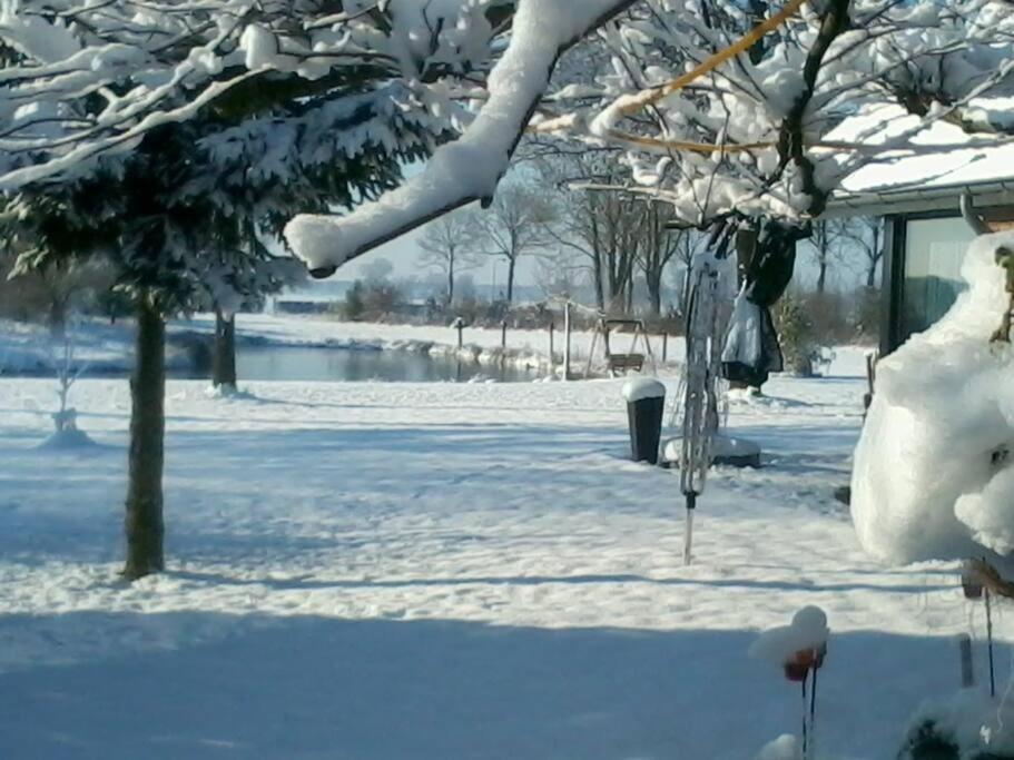 Photo 11