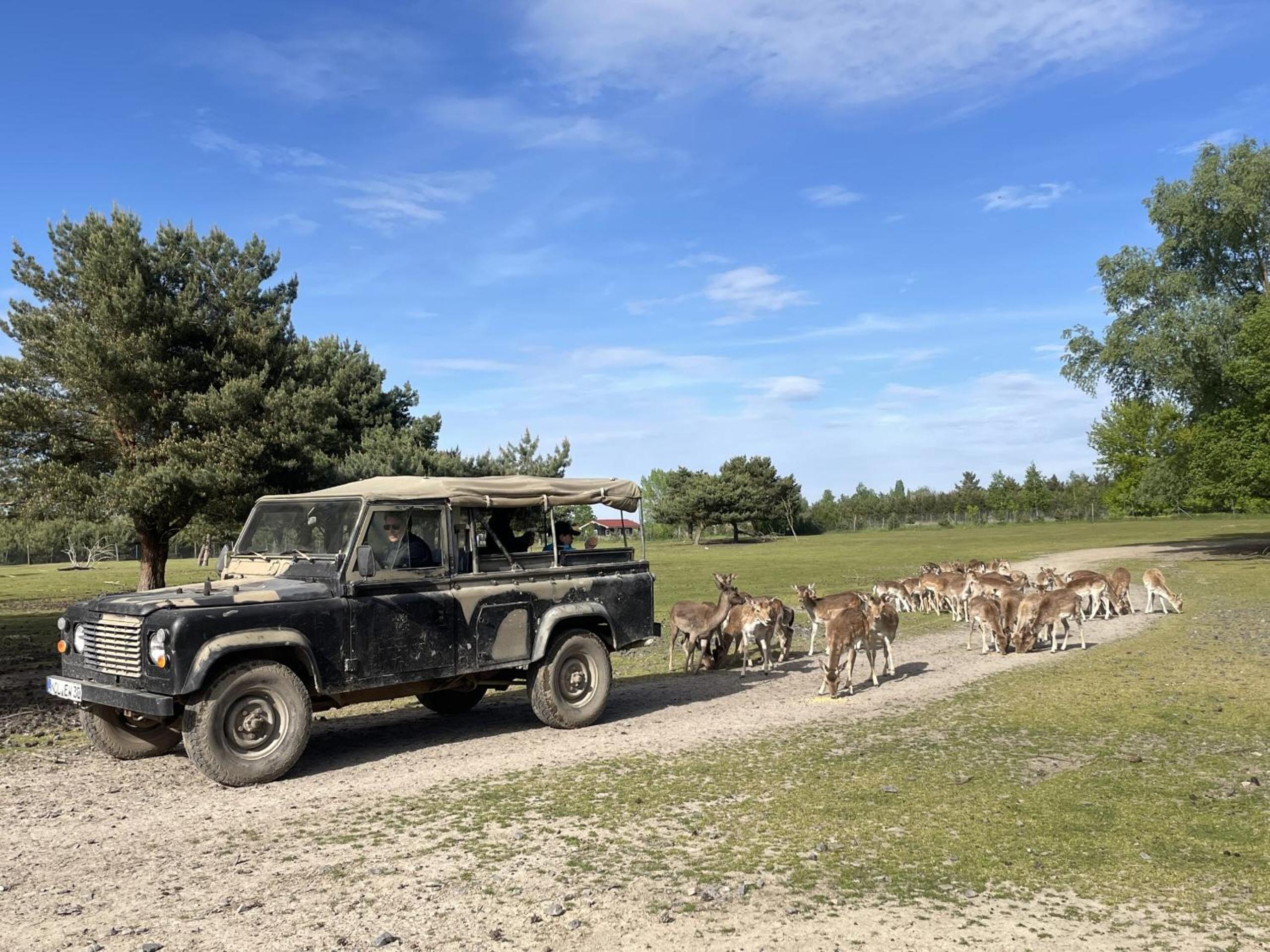 Safarilodge am Bärwalder See