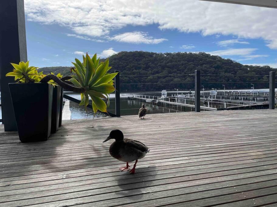 Swallows Rest - Private Jetty Kayaks Pets allow Woy Woy Bay