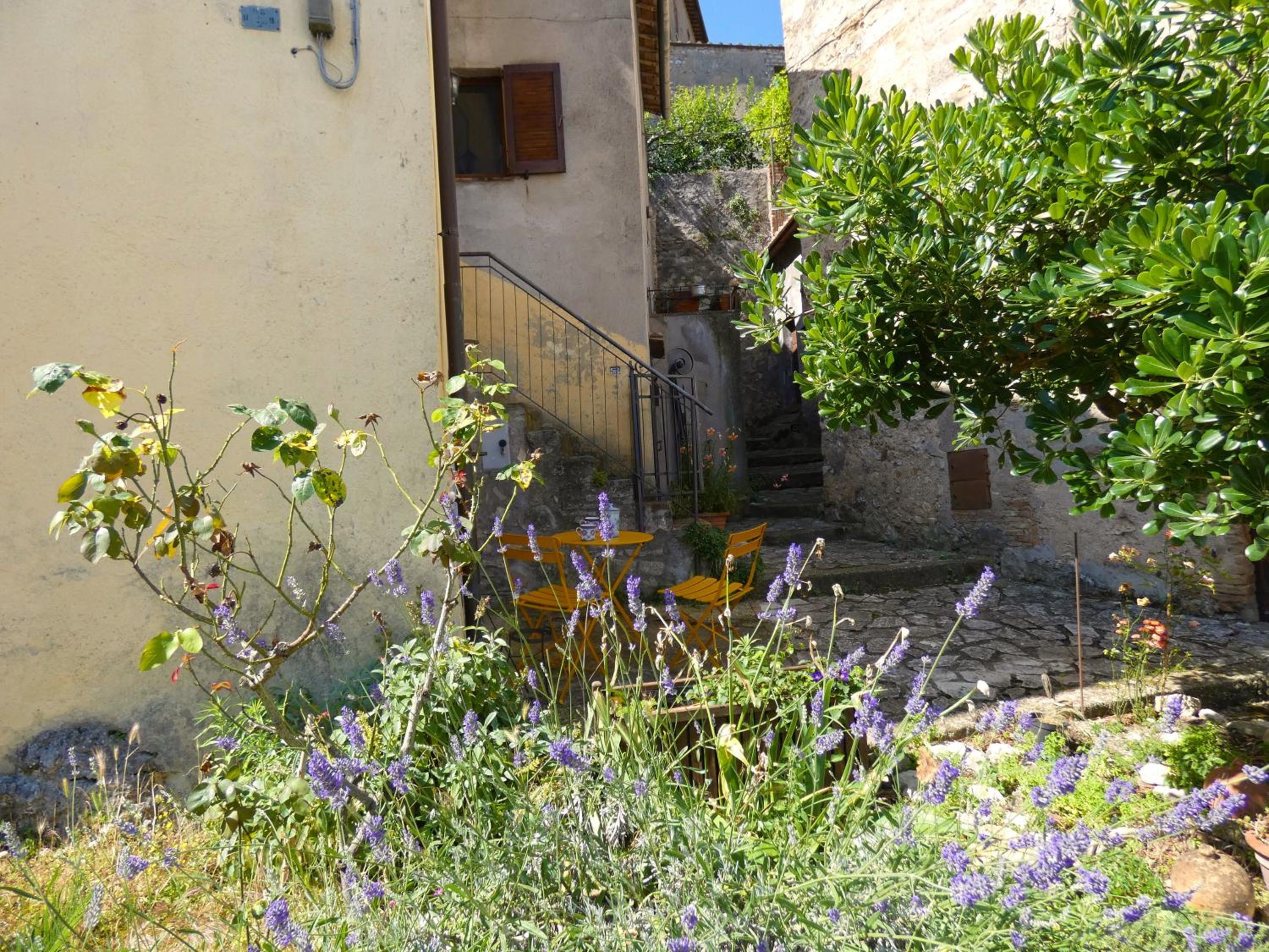 Photo 8