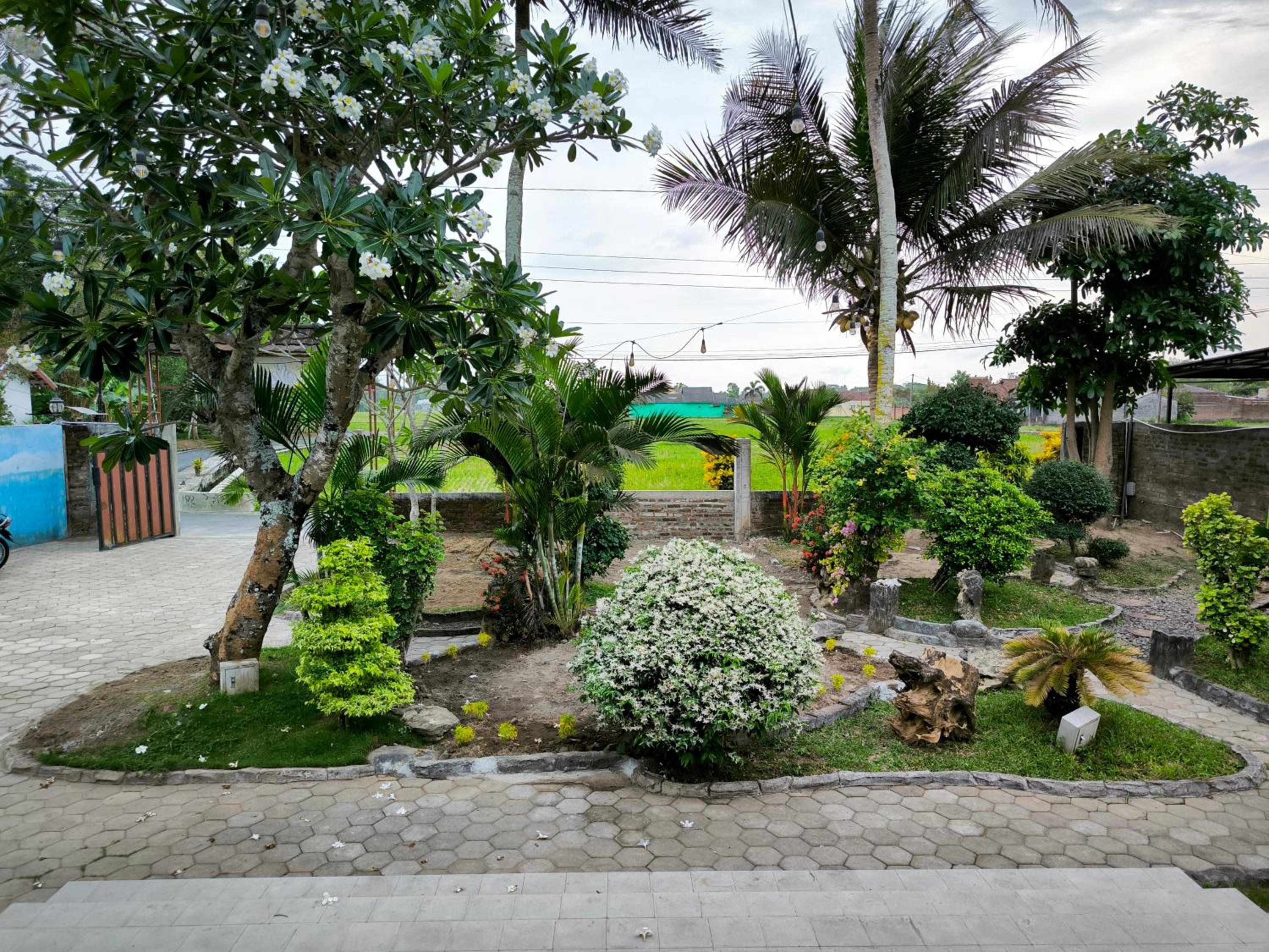 Photo 9